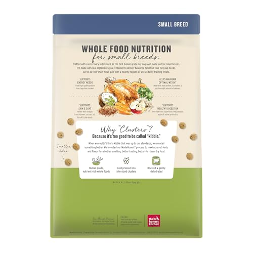 The Honest Kitchen L-carnitine métabolisme — soutien potentiel pour énergie et vitalité.