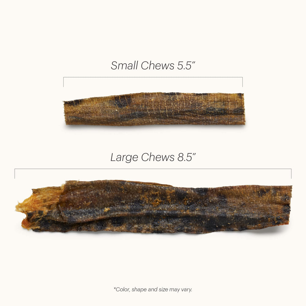 The Honest Kitchen Ocean Chews – alternative au cuir brut, friandise saine et digeste.