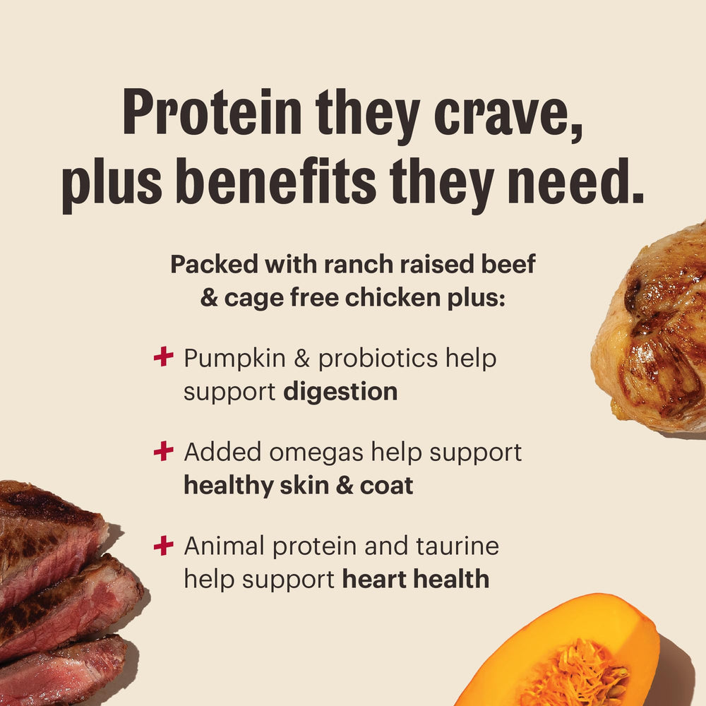 The Honest Kitchen Protein Plus+ clusters, gros-plan-ingrédients, ingrédients humains de qualité.