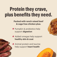 The Honest Kitchen Protein Plus+ clusters, gros-plan-ingrédients, ingrédients humains de qualité.