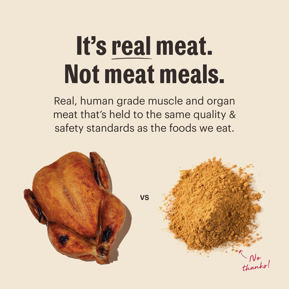 The Honest Kitchen Protéine Plus+ Clusters au poulet, préparation minimale préservant les nutriments.