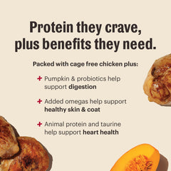 The Honest Kitchen Protéine Plus+ Clusters au poulet, morceaux réels pour l’entraînement.