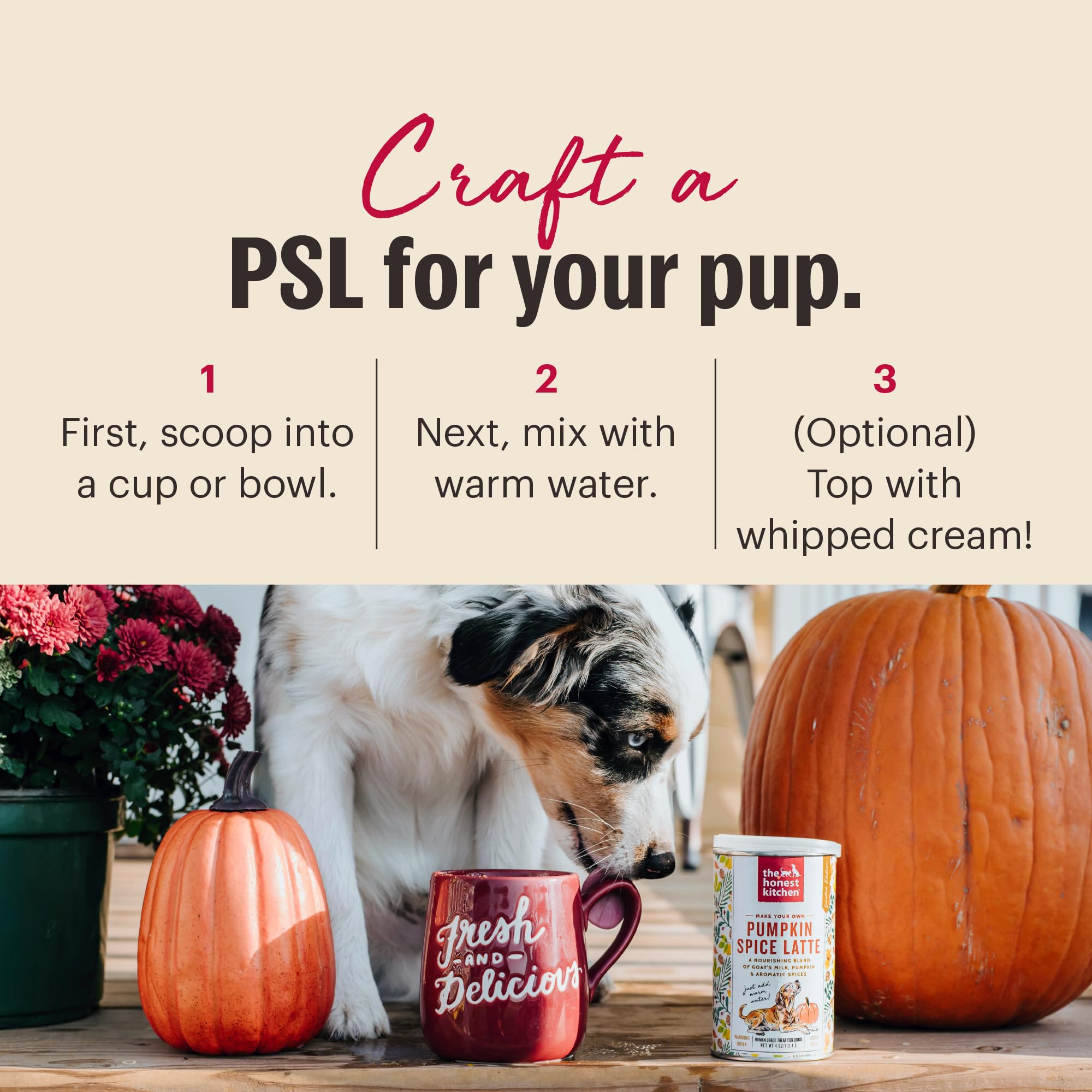 The Honest Kitchen Pumpkin Spice Latte pour chien, saveur d'automne, léger et sans additifs.