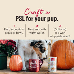 The Honest Kitchen Pumpkin Spice Latte pour chien, saveur d'automne, léger et sans additifs.