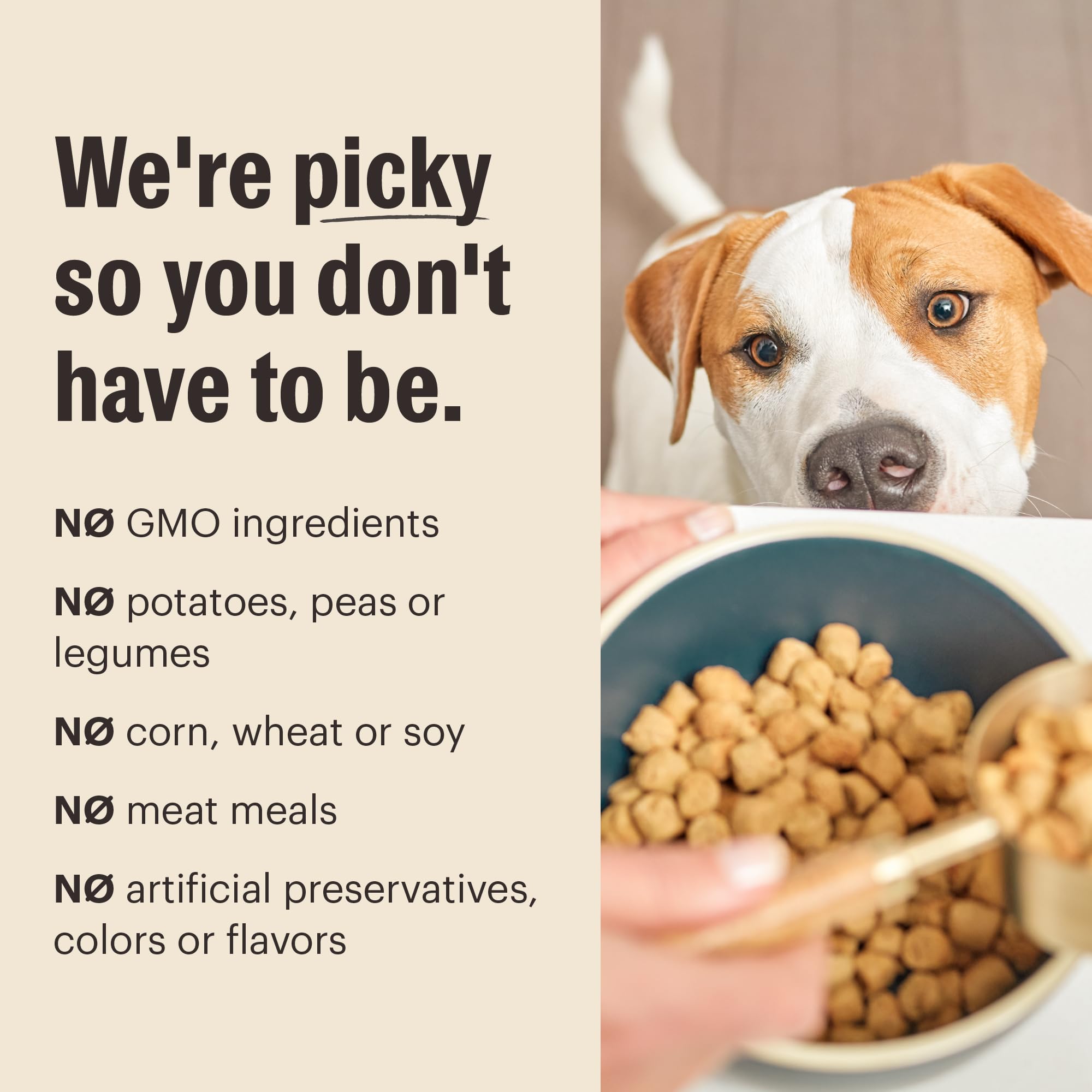 The Honest Kitchen Puppy Whole Food Clusters, développement musculaire et DHA pour le cerveau