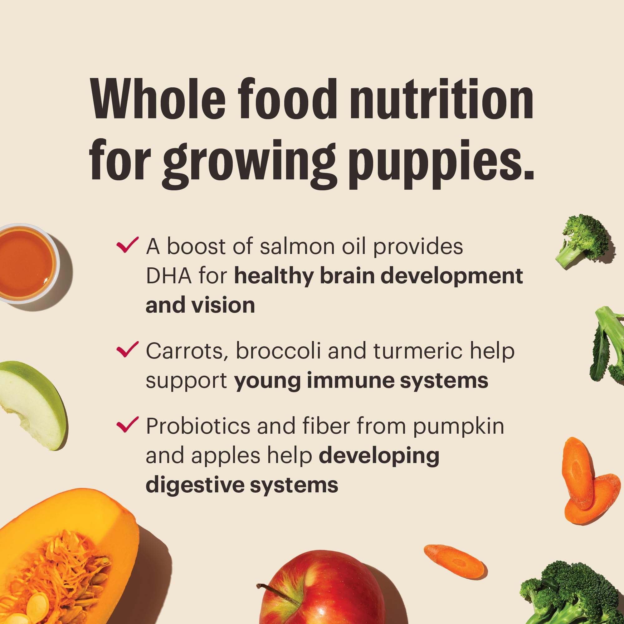 The Honest Kitchen Puppy Whole Food Clusters, snack quotidien pratique et nourrissant