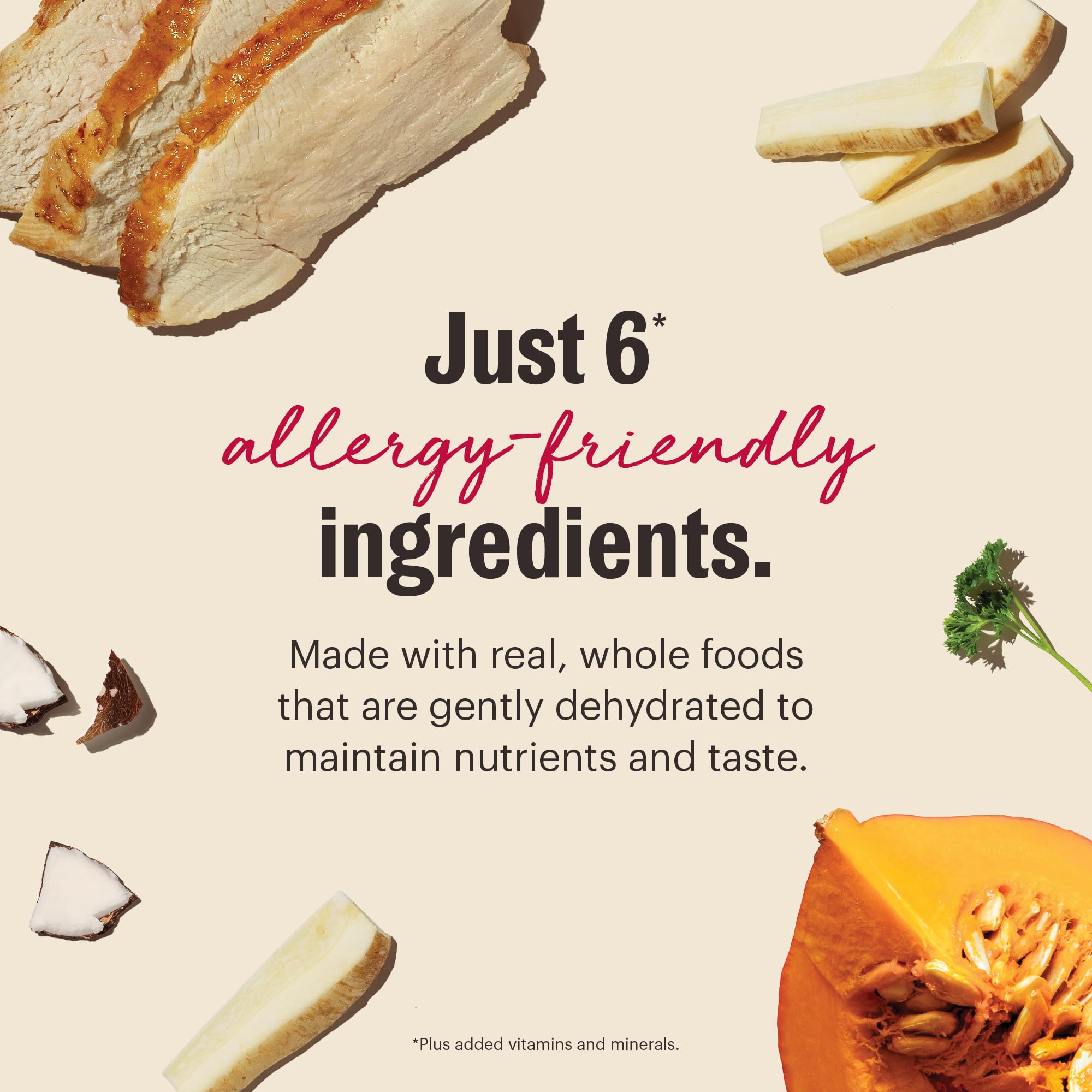 The Honest Kitchen WholeMade, sans additifs artificiels ni ingrédients de remplissage.