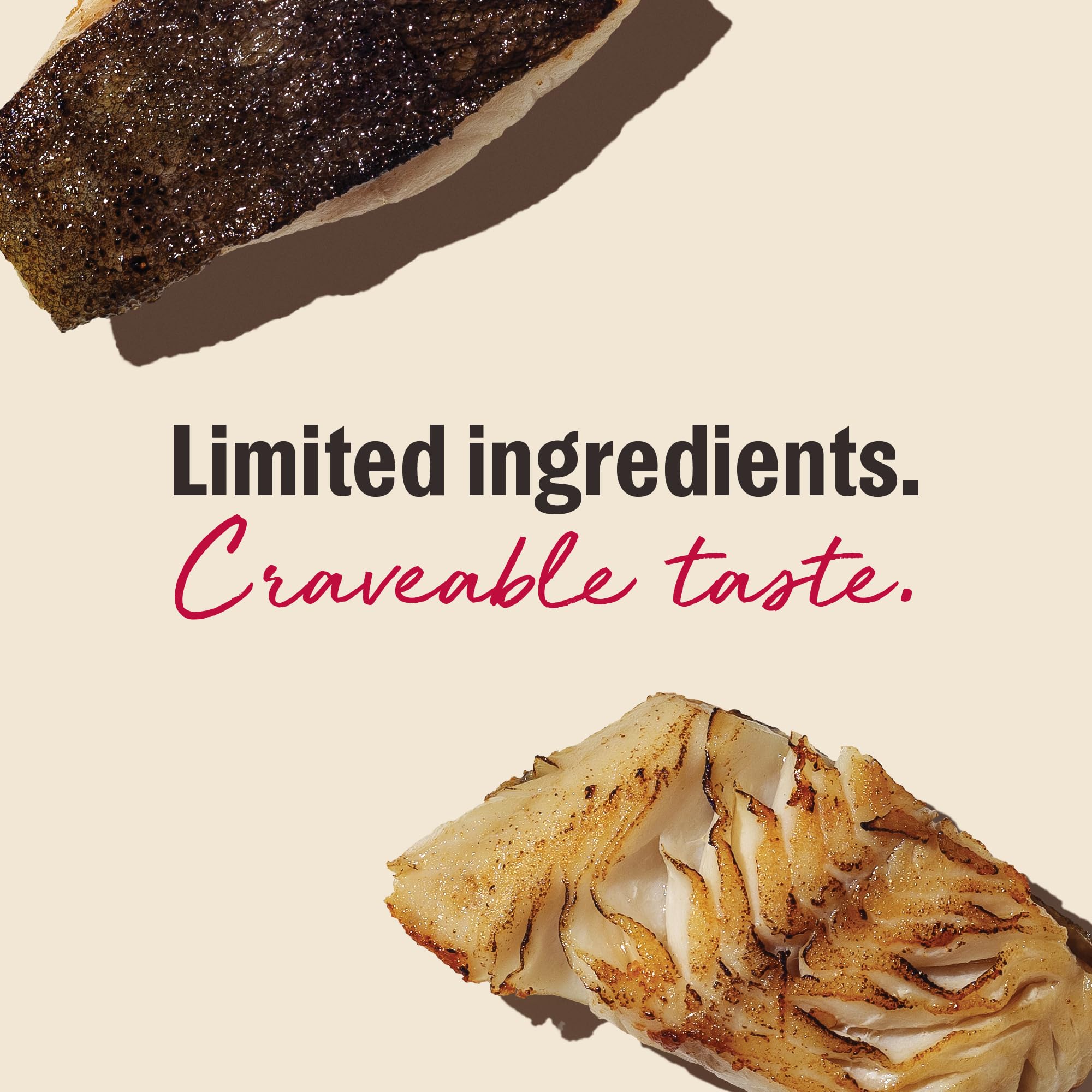 The Honest Kitchen Smitten Bites forme cœur : détail adorable.
