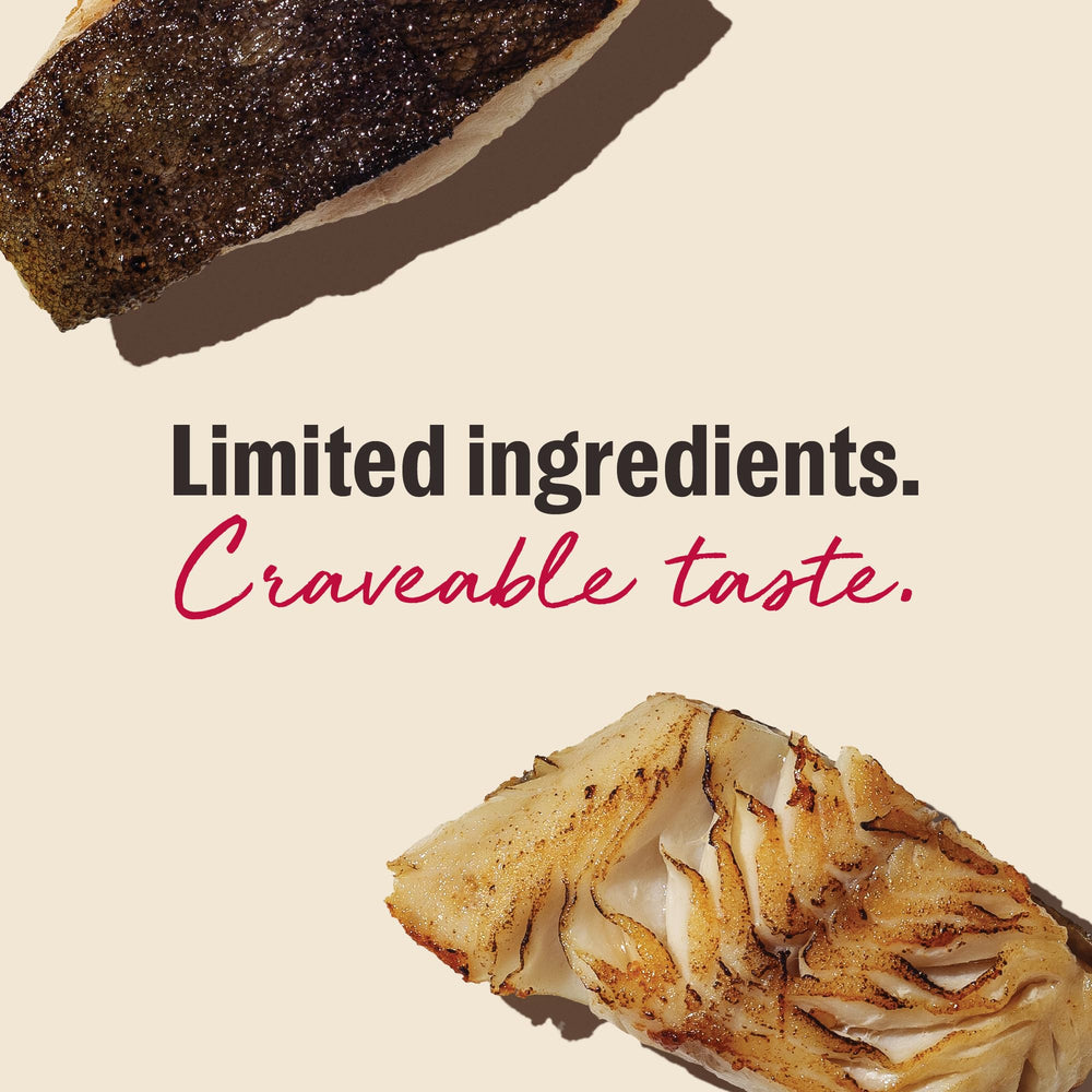 The Honest Kitchen Smitten Bites forme cœur : détail adorable.