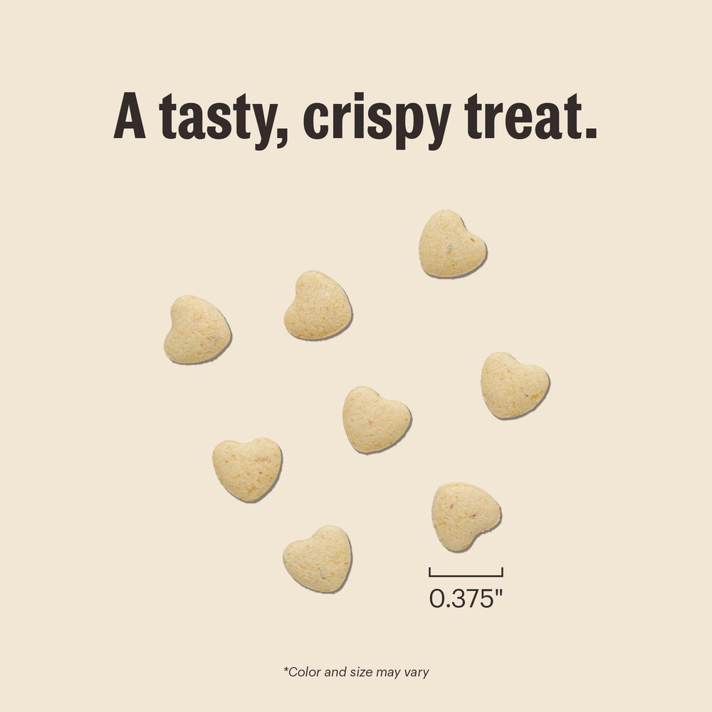 The Honest Kitchen Smitten Bites texture croquante : chat approuvé.