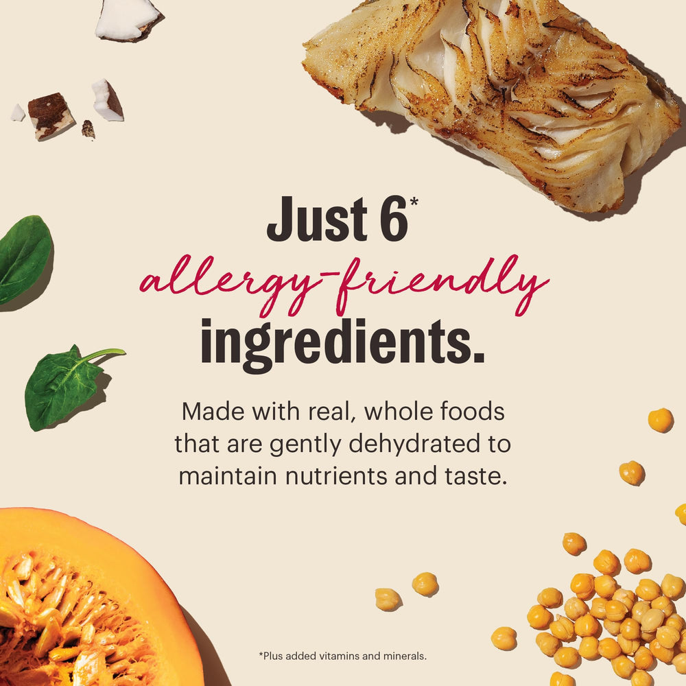 The Honest Kitchen Wholemade sans additifs et sans céréales