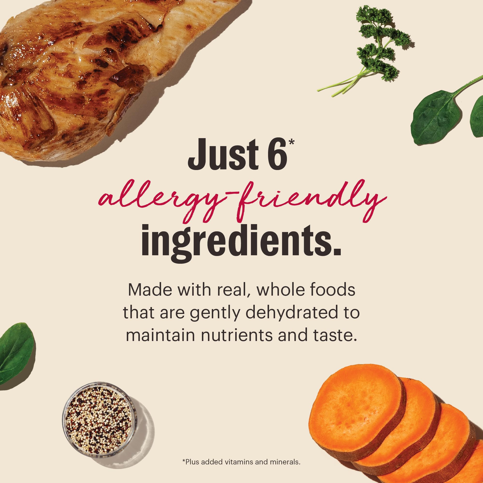 The Honest Kitchen Wholemade poulet, repas complet facile à servir pour chien