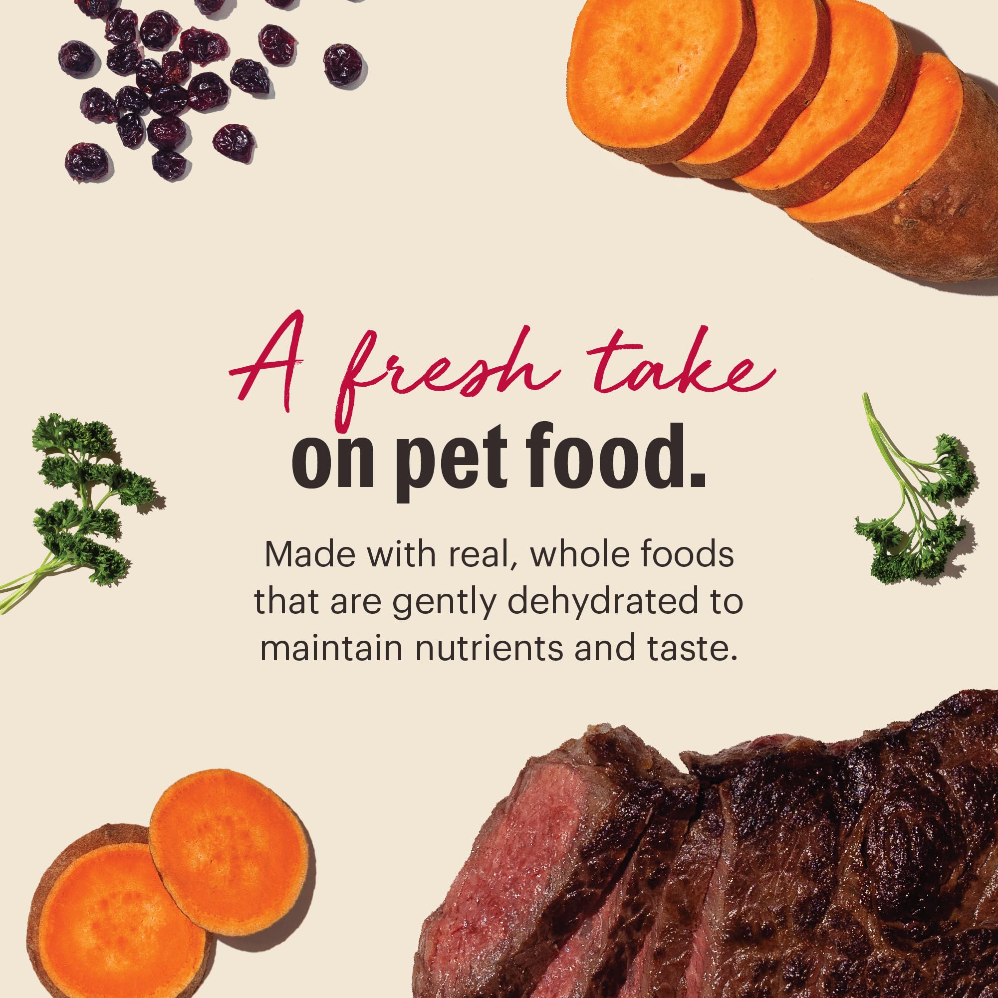 The Honest Kitchen WholeMade nutrition complète; formule équilibrée pour chien