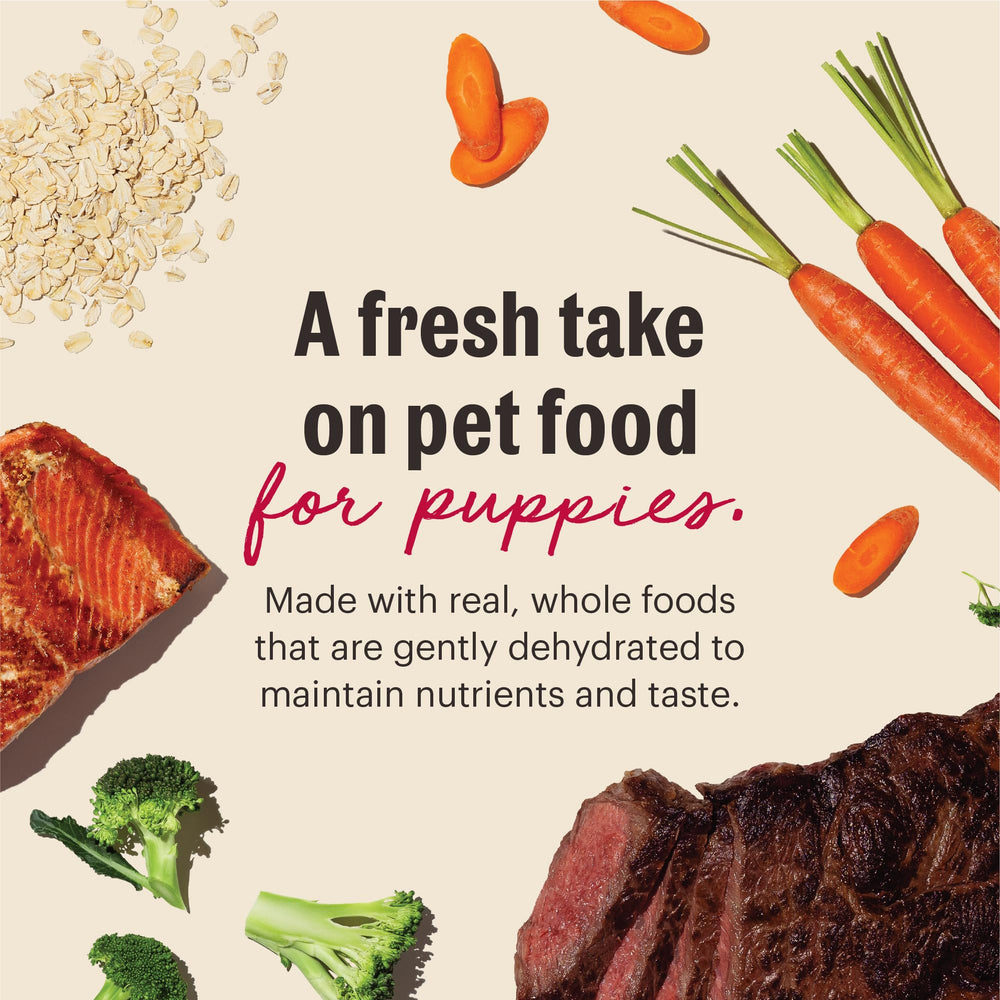 The Honest Kitchen Wholemade qualité destinée à l'alimentation humaine