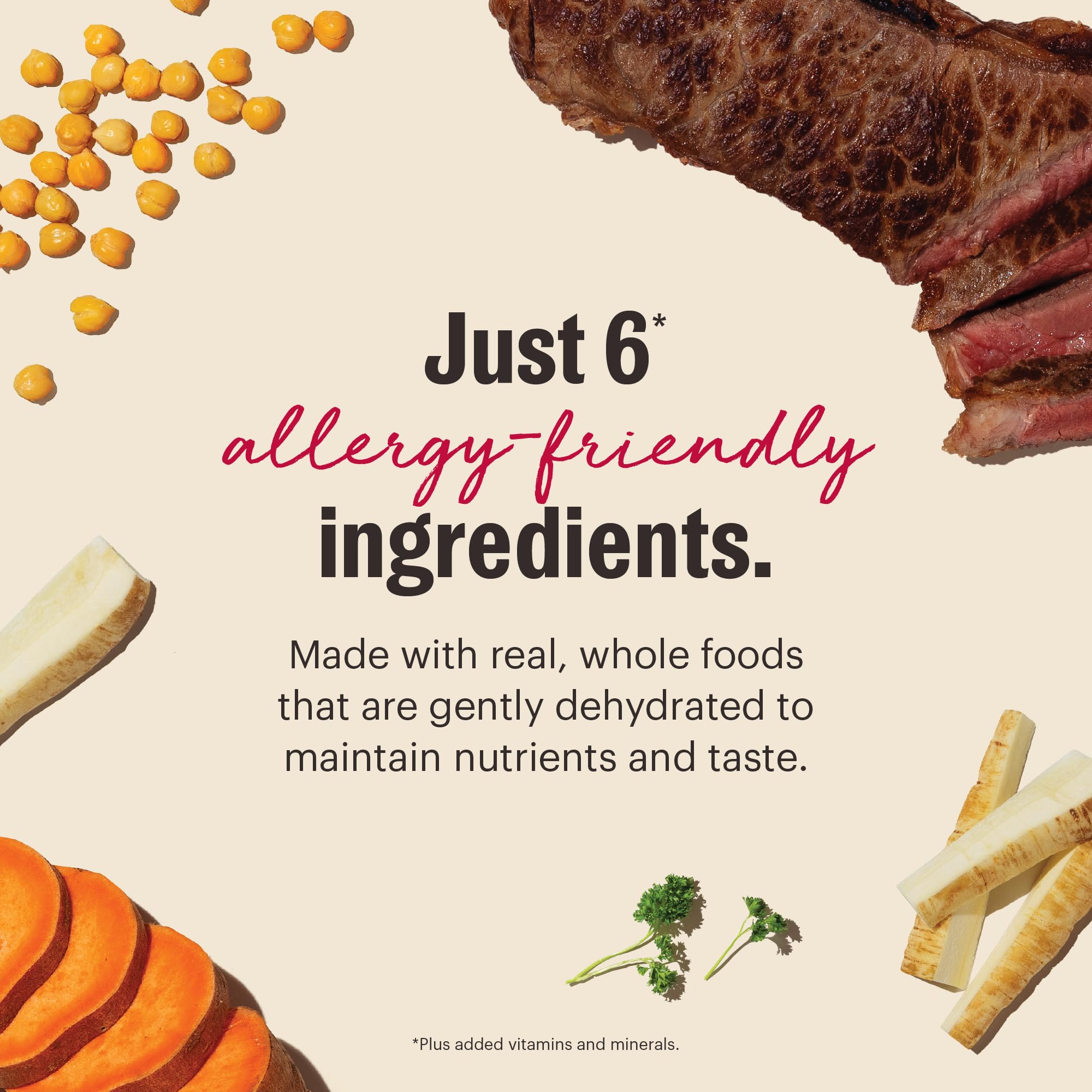 The Honest Kitchen Wholemade: réhydratation rapide et pratique