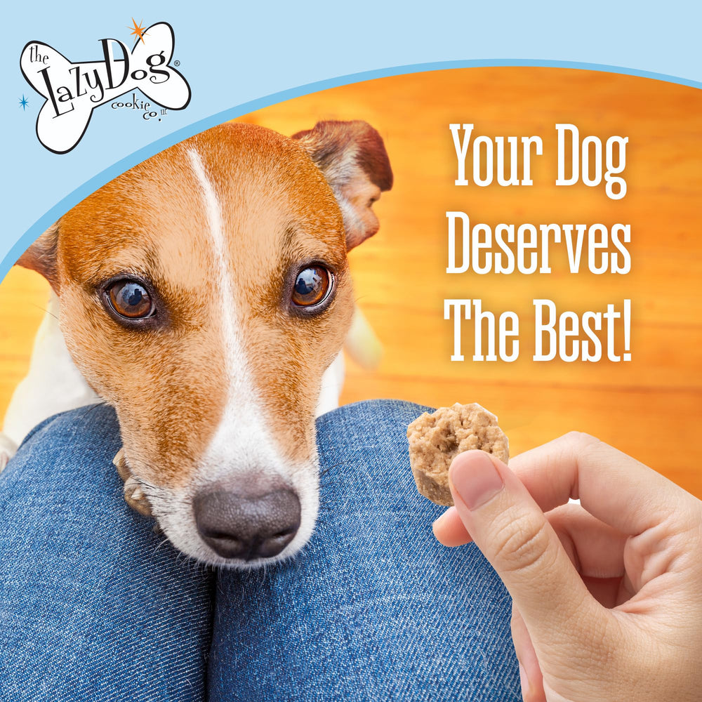The Lazy Dog Cookie Co. Mutt Mallows citrouille-vanille — texture tendre et goût automnal