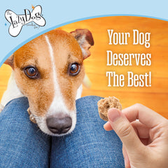 The Lazy Dog Cookie Co. Mutt Mallows citrouille-vanille — texture tendre et goût automnal