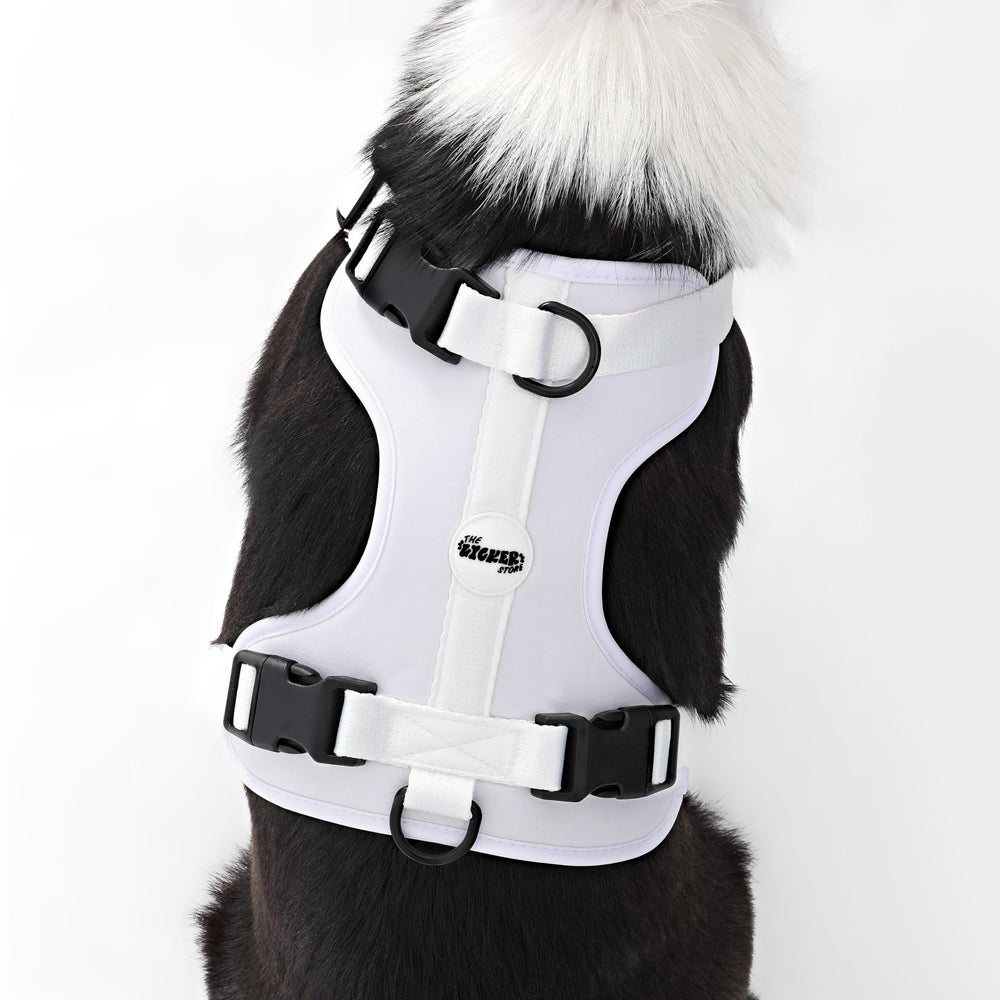 Arlo THE LICKER STORE, couleur Seltzer disponible pour un look moderne.