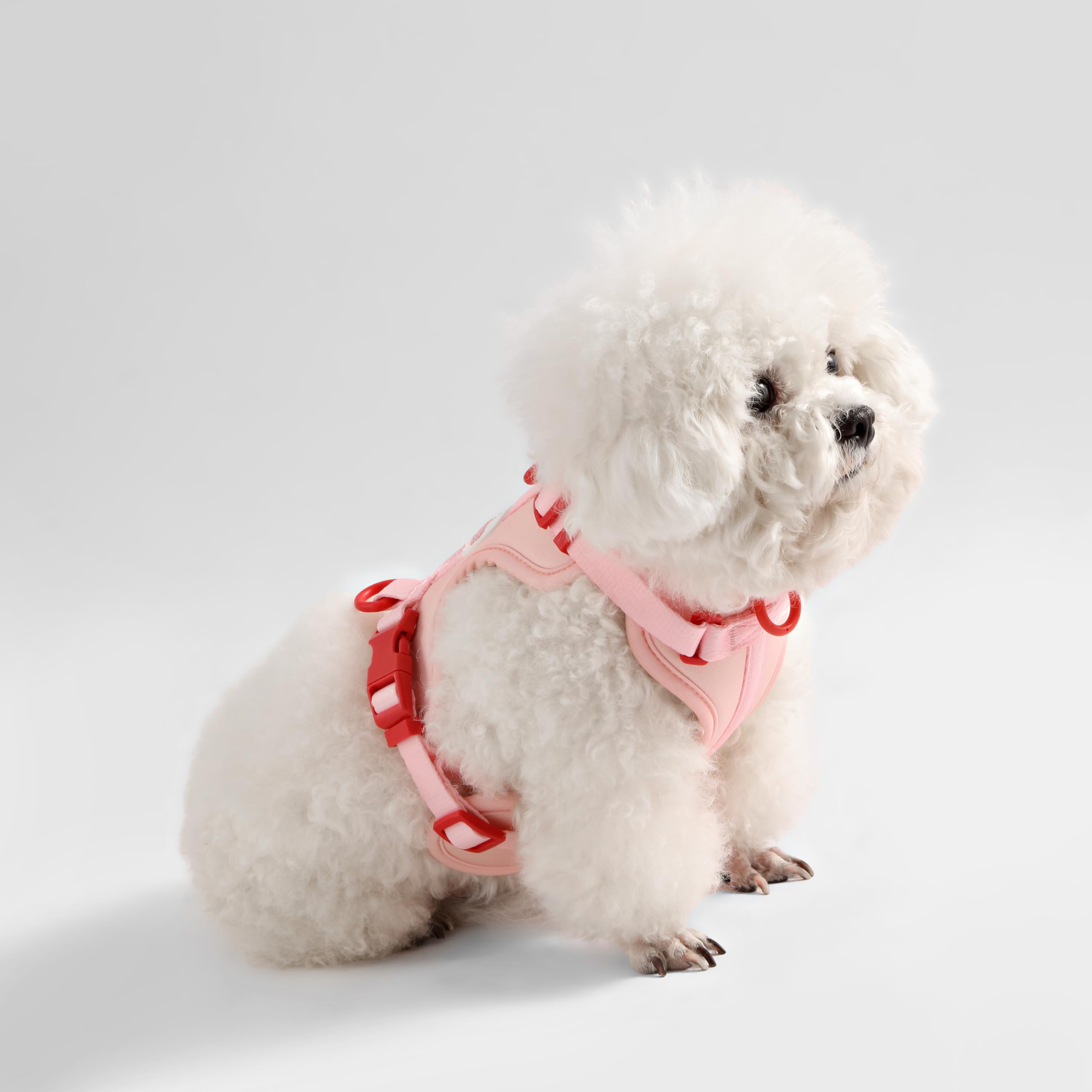 THE LICKER STORE Arlo – guide des tailles et ajustement personnalisé