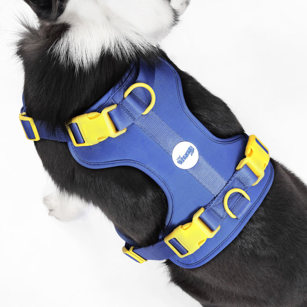 Harnais Arlo THE LICKER STORE avec 3 boucles et 3 attaches.