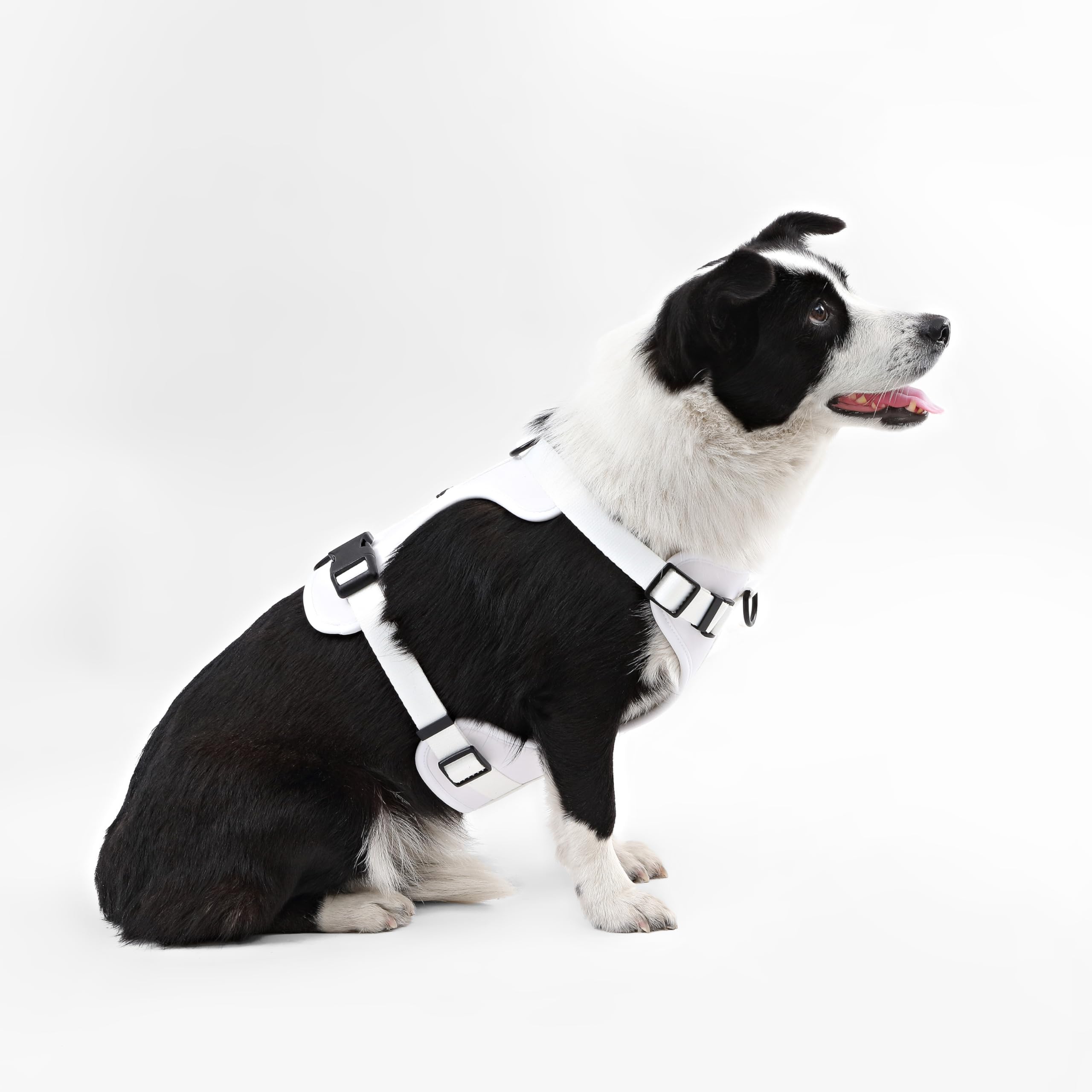 Arlo THE LICKER STORE, quatre sangles ajustables pour un ajustement précis.