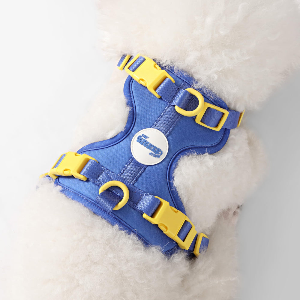 Harnais Arlo disponible en 14 couleurs pour personnaliser les promenades.