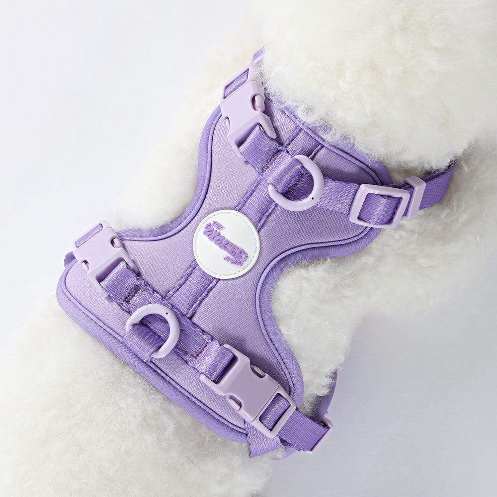 Harnais Arlo THE LICKER STORE, coloris Bramble, idéal pour sorties quotidiennes