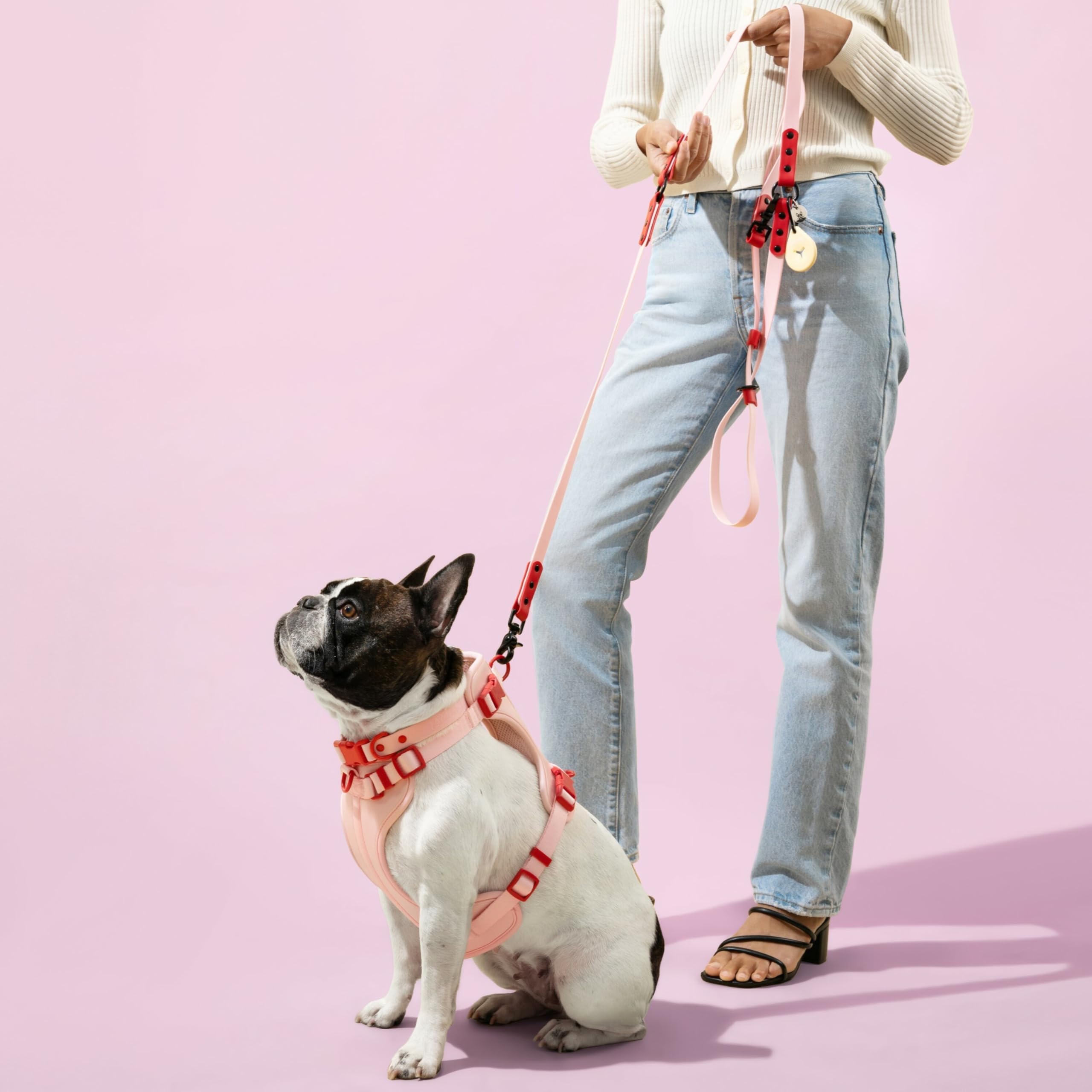 THE LICKER STORE Arlo – vue arrière, boucles faciles et attaches polyvalentes