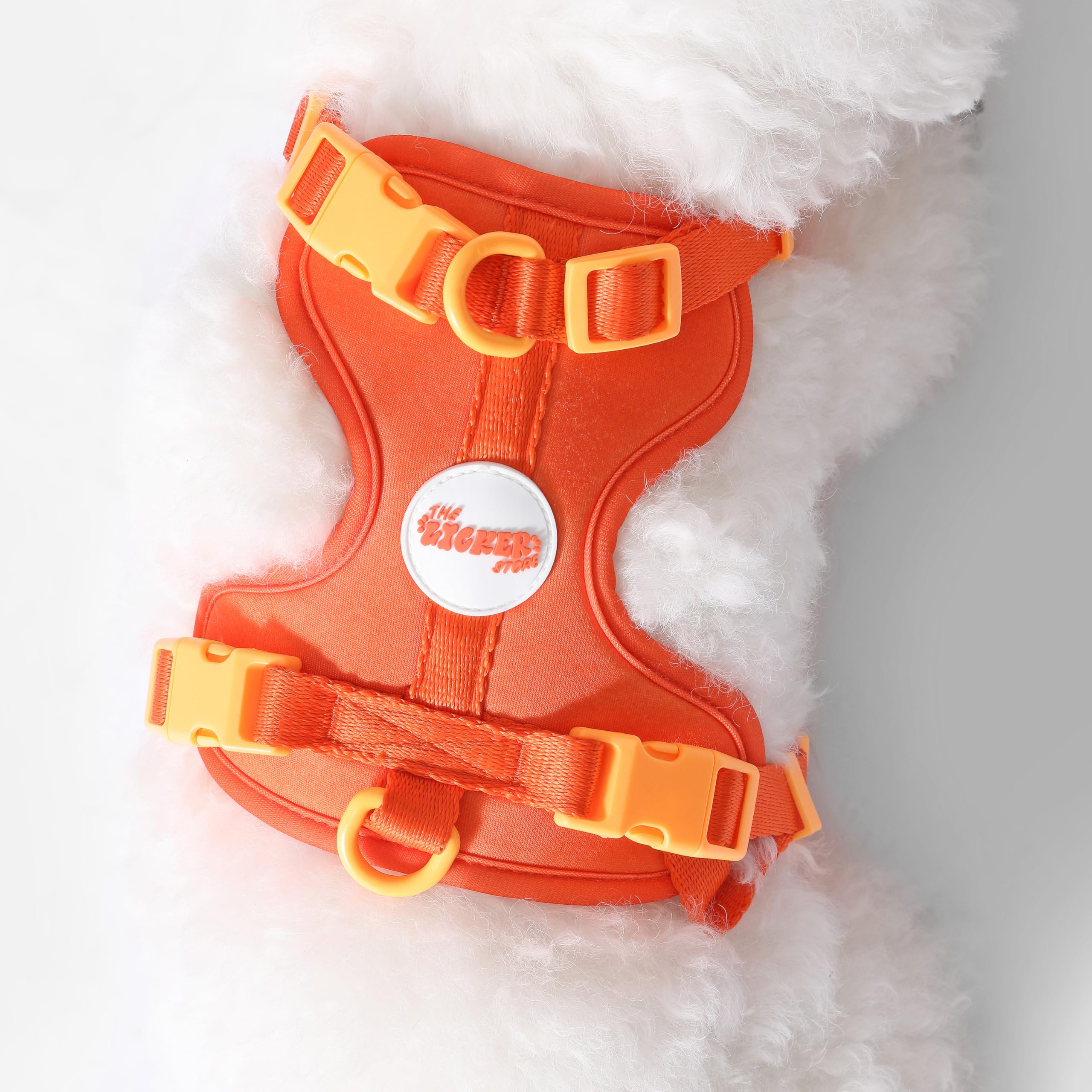 THE LICKER STORE Arlo harnais guide taille et vidéo pratique
