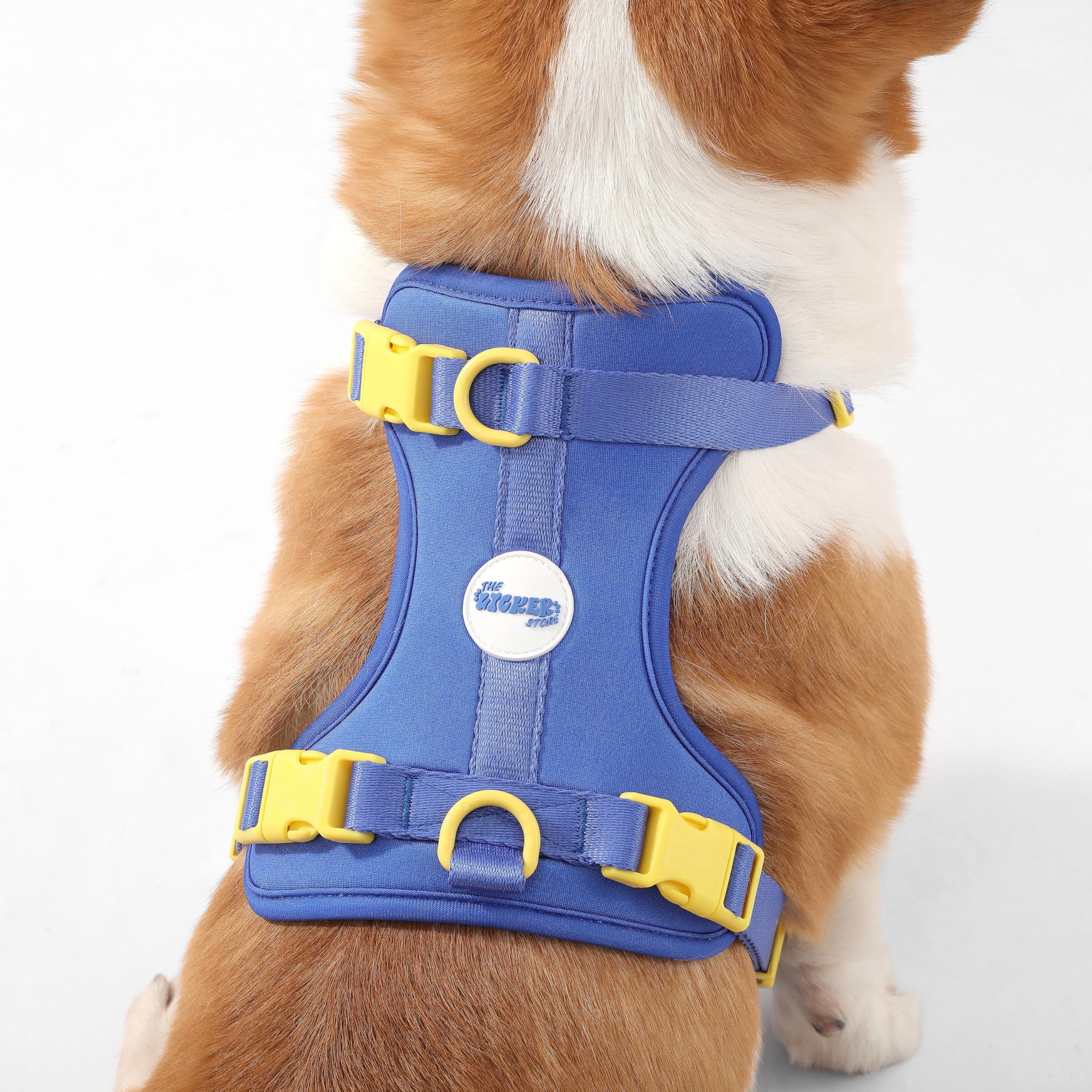 Arlo guide d’utilisation THE LICKER STORE pour un ajustement rapide.