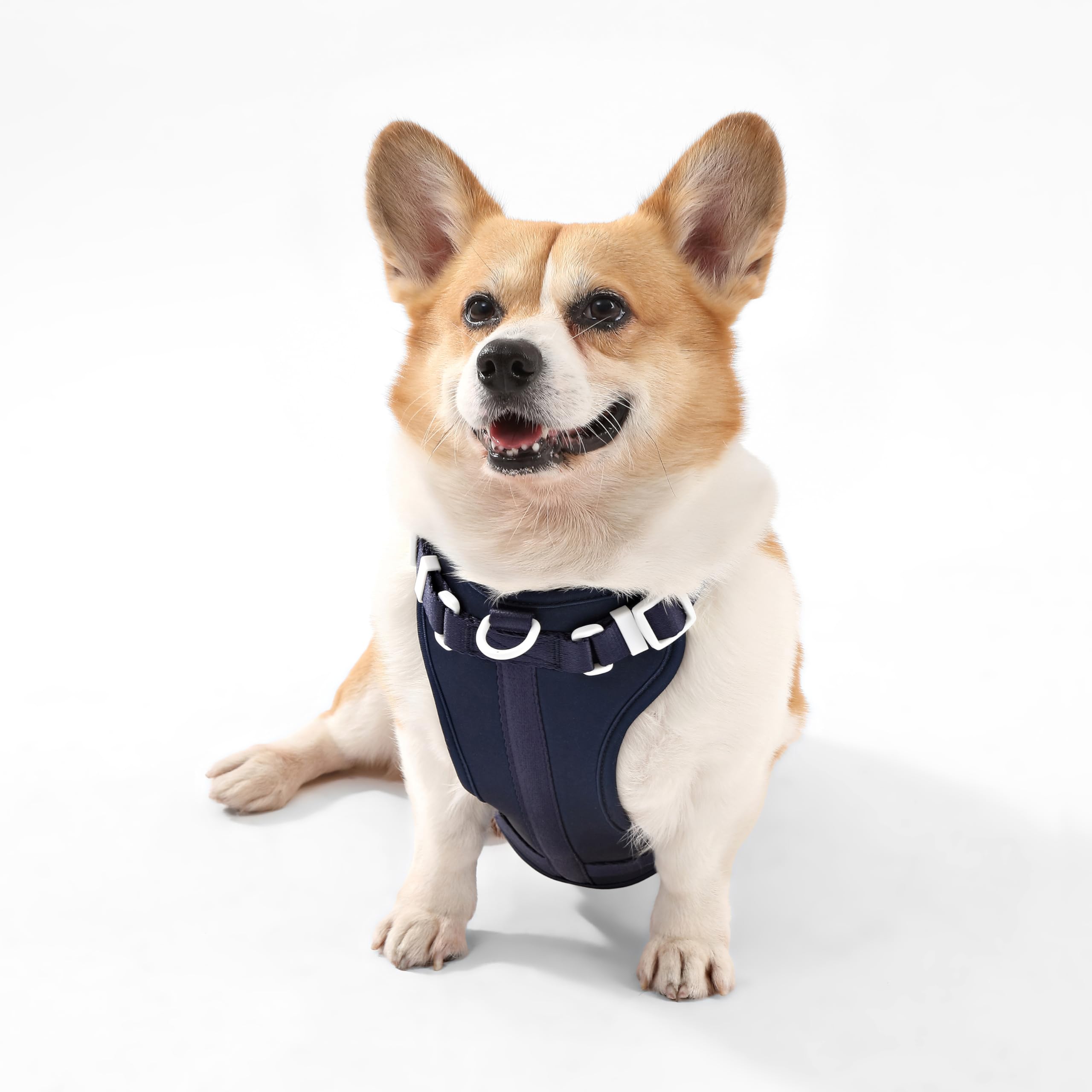 Harnais THE LICKER STORE Arlo, nylon durable et lavable pour usage quotidien