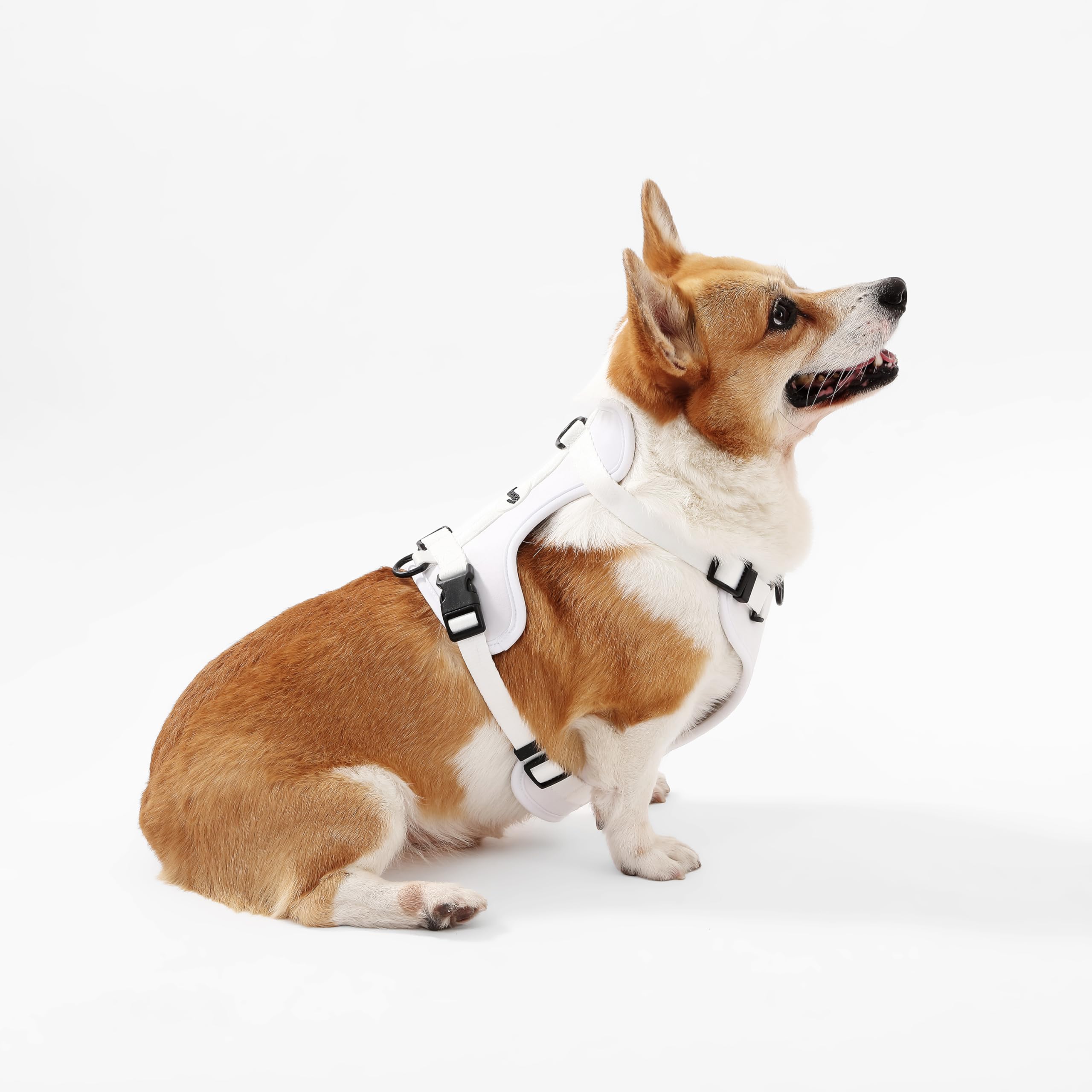 Nylon durable et lavable pour Arlo THE LICKER STORE