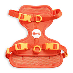 THE LICKER STORE Arlo harnais petit ajustable doux rembourre pour chien