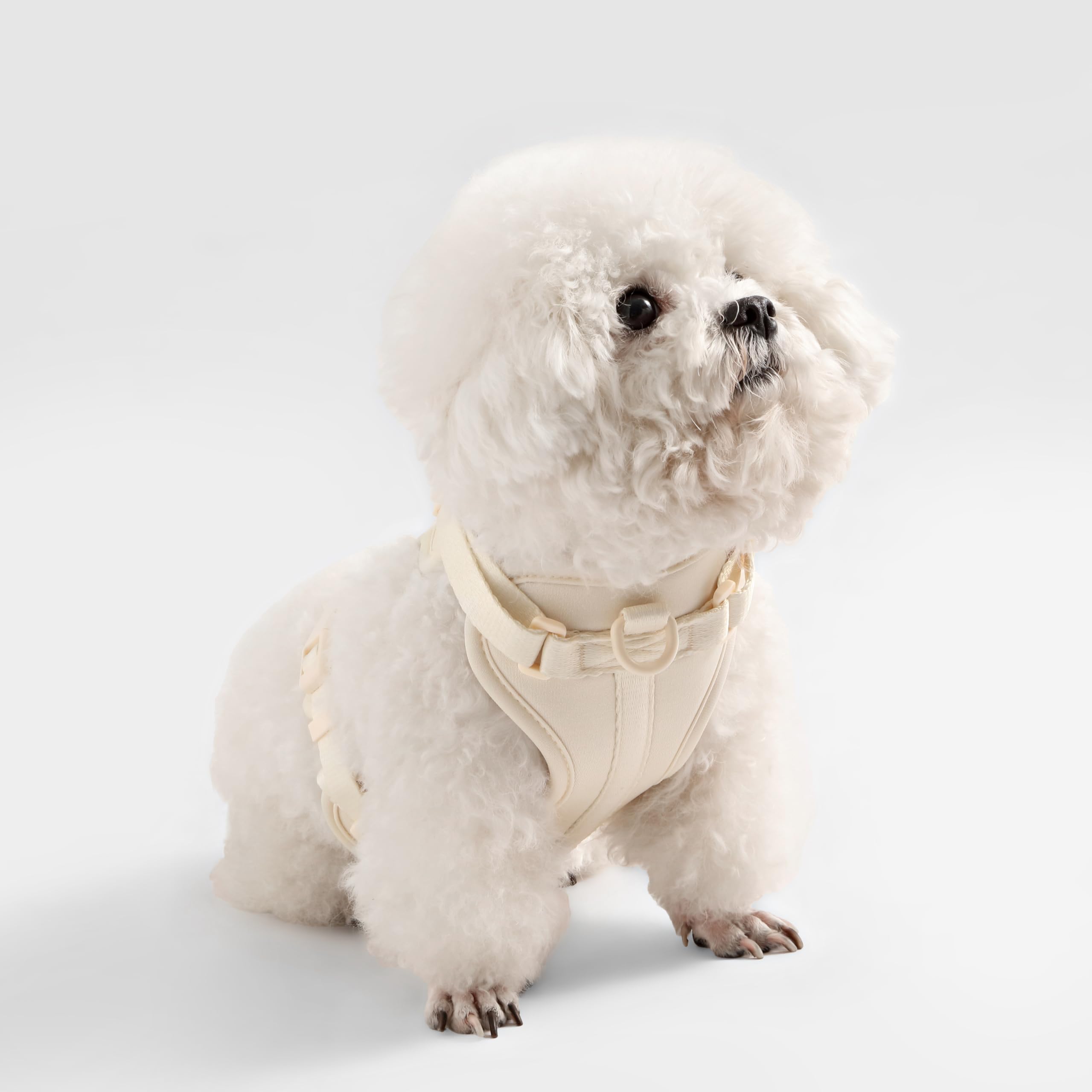 Harnais Arlo THE LICKER STORE, quatre sangles ajustables pour un bon ajustement.