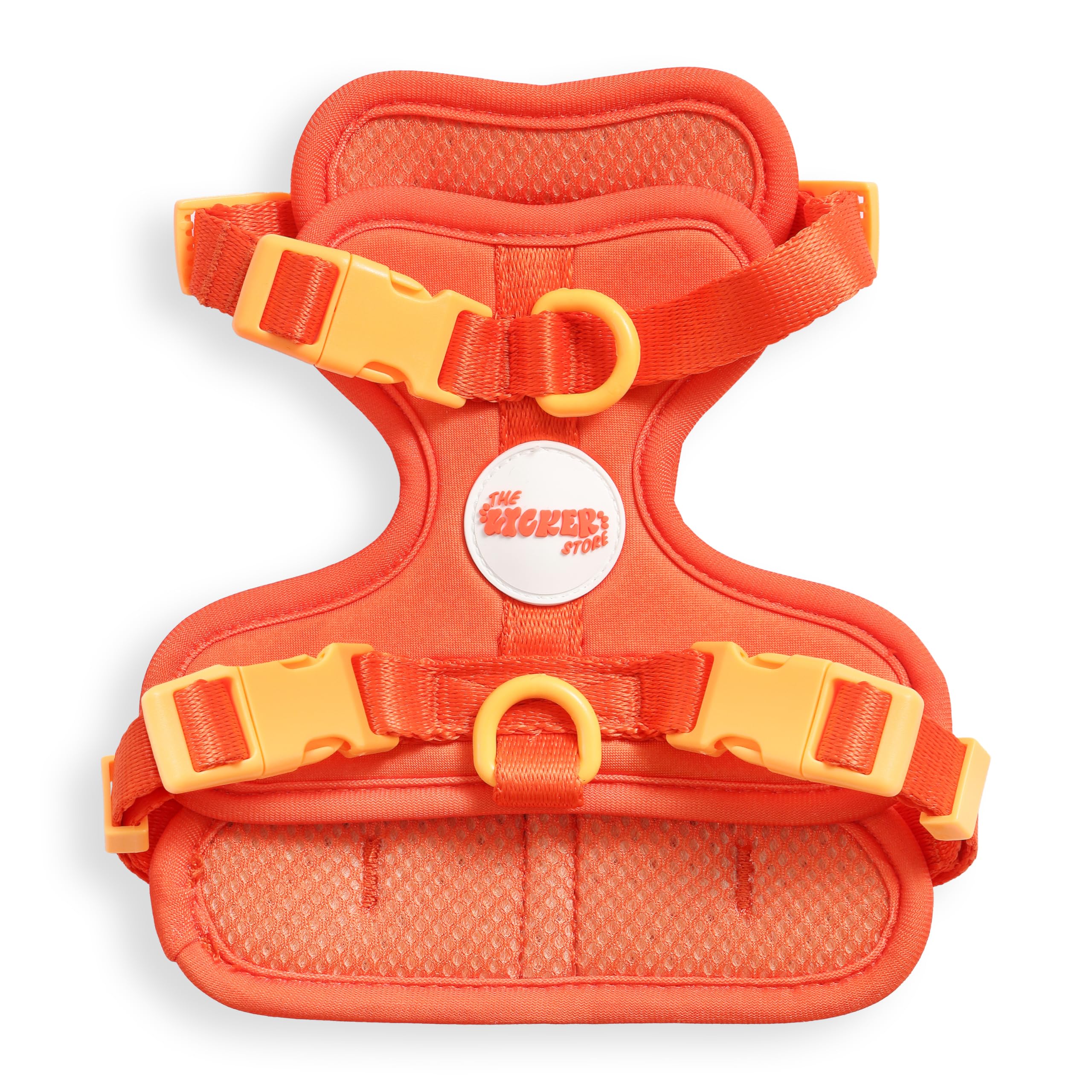 Arlo THE LICKER STORE, vue avant, harnais confortable et ajustable pour petit chien.