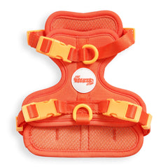 Arlo THE LICKER STORE, vue avant, harnais confortable et ajustable pour petit chien.
