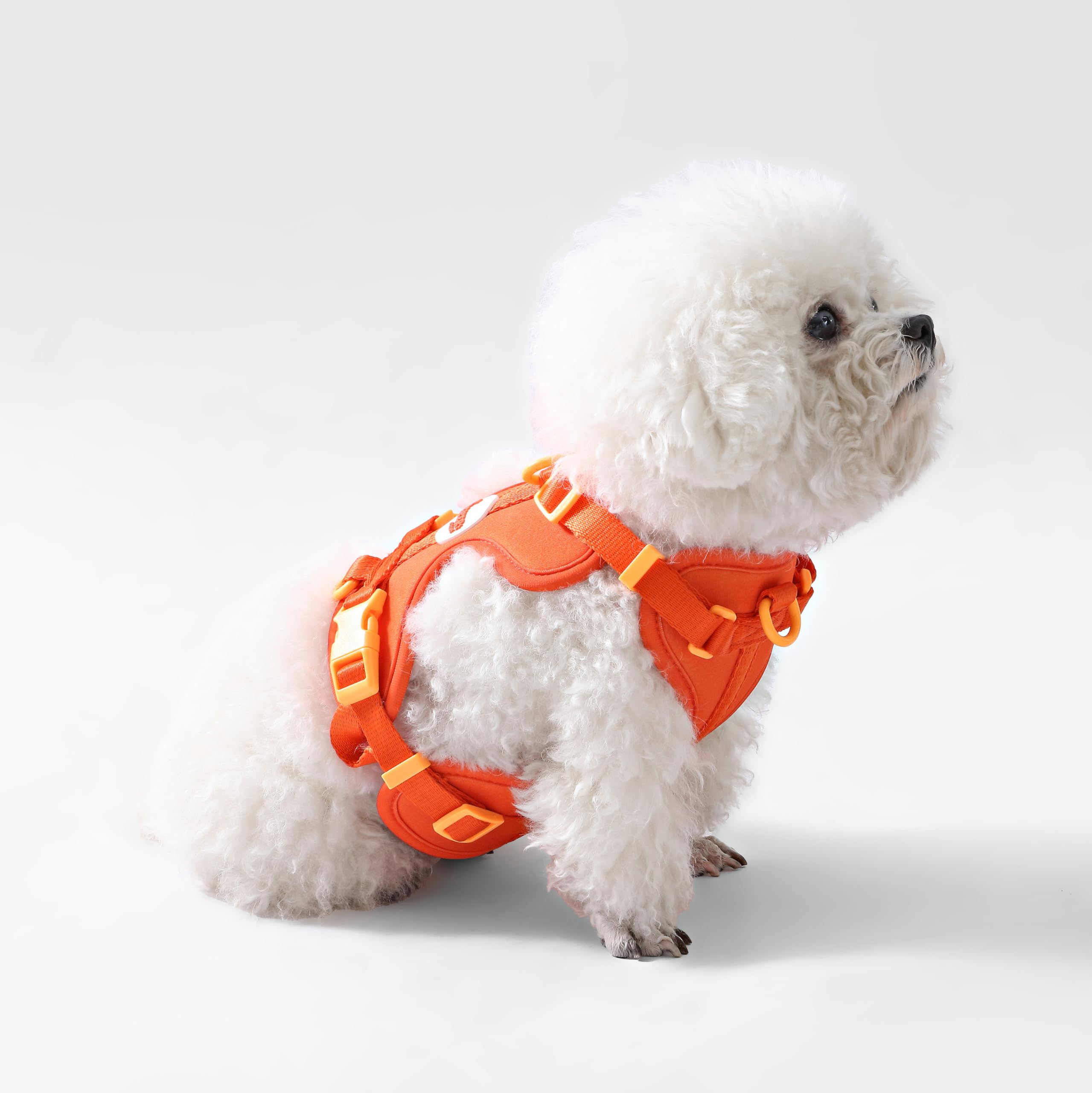 THE LICKER STORE Arlo harnais quatre sangles ajustables pour un ajustement parfait