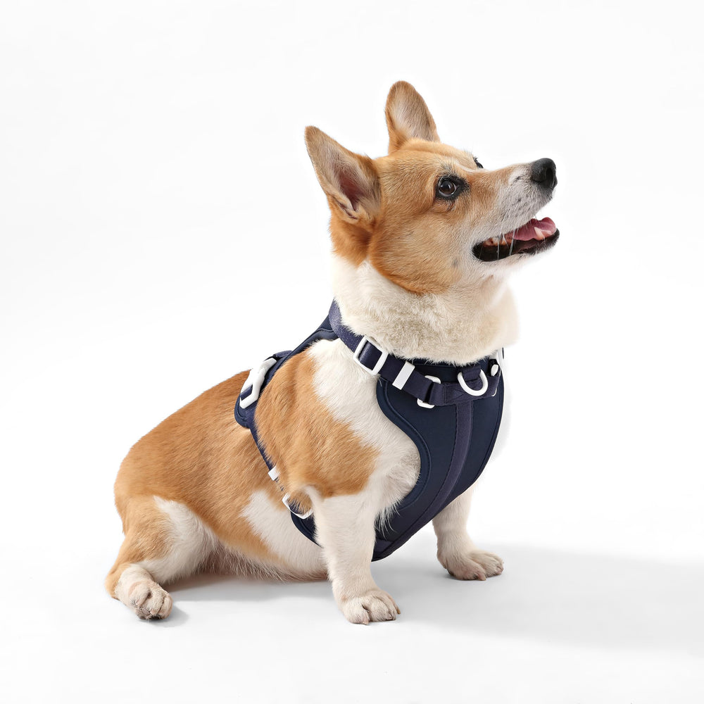 Harnais THE LICKER STORE Arlo, rembourrage respirant et doux pour le confort