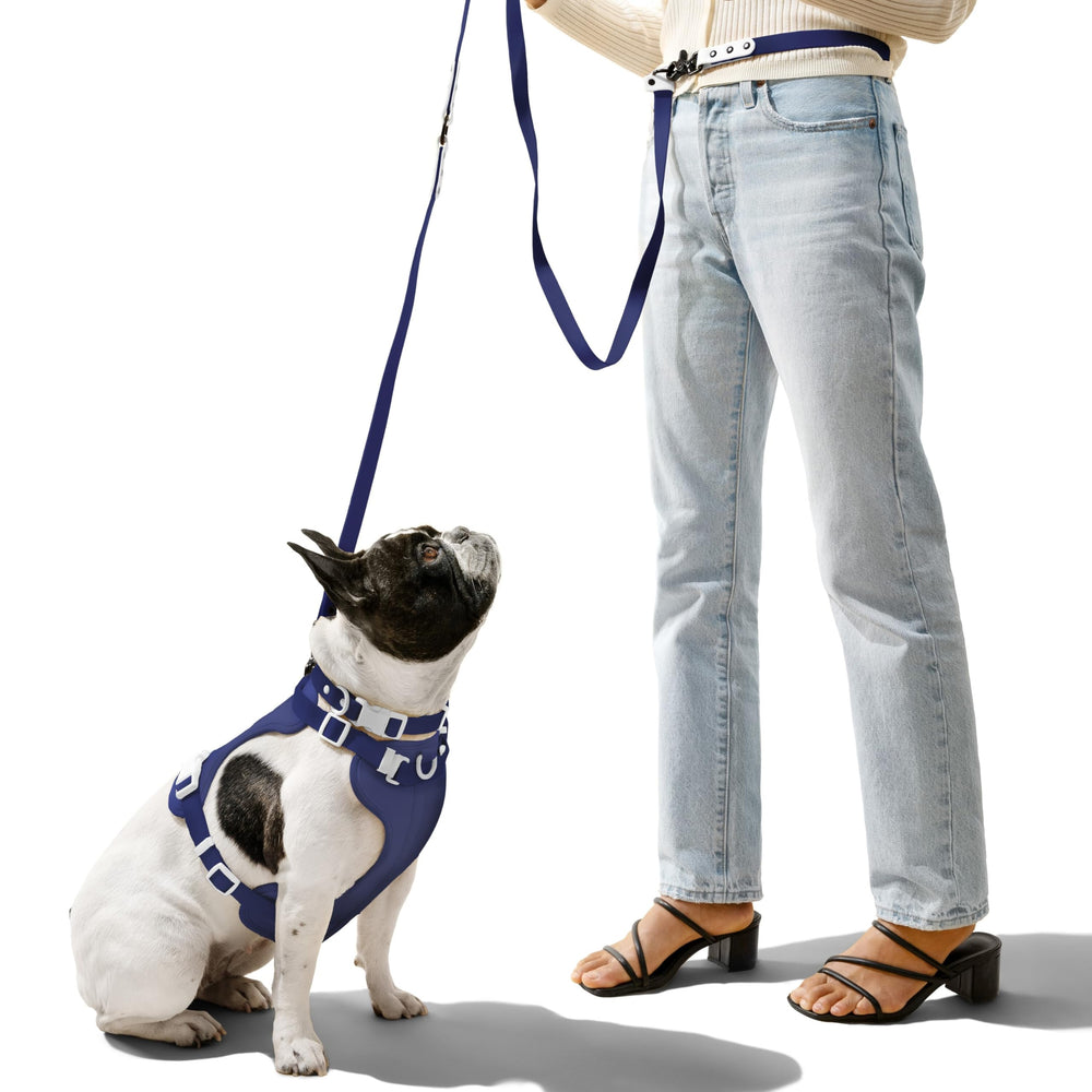 Harnais THE LICKER STORE Arlo, trois boucles et attaches pour un ajustement rapide et sûr
