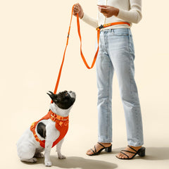 THE LICKER STORE Arlo harnais trois boucles faciles à enfiler et ajuster