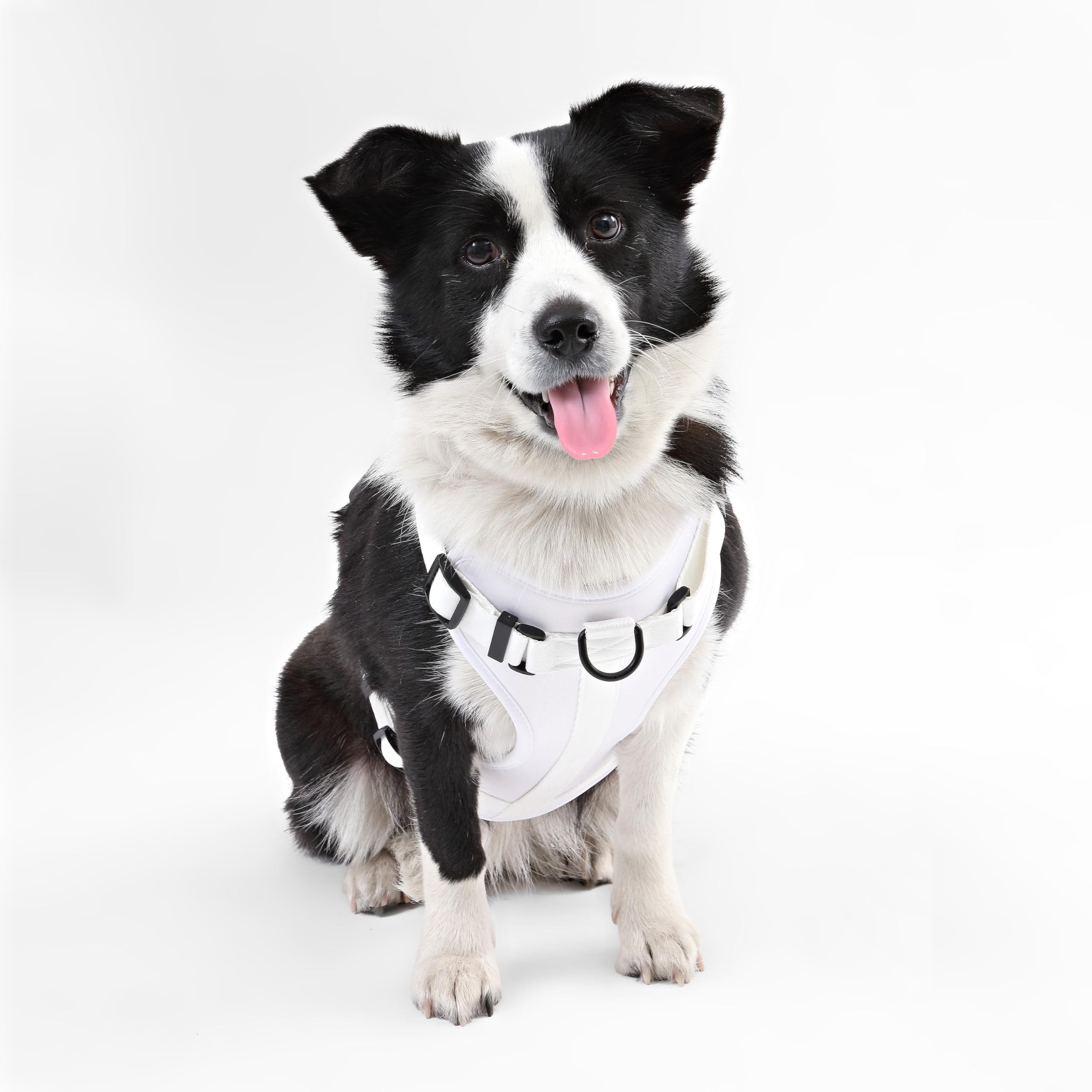 Arlo THE LICKER STORE, nylon durable et lavable, facile à entretenir.