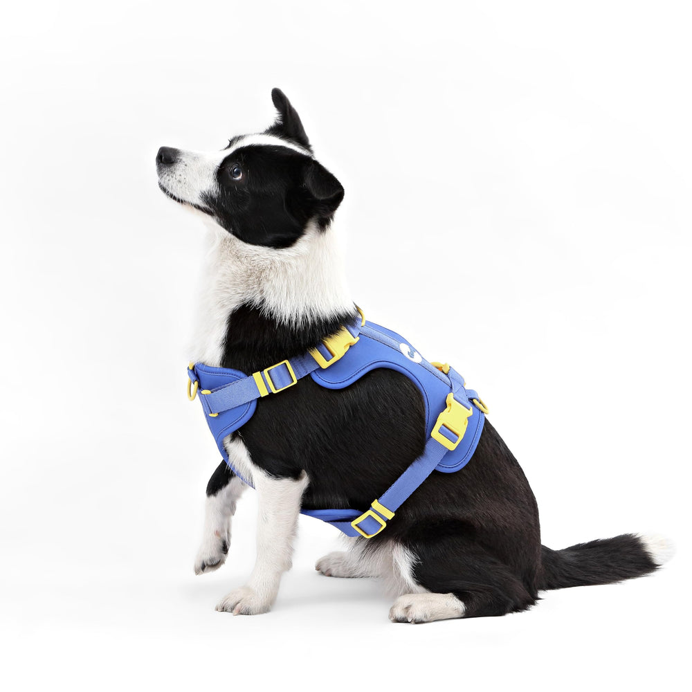 Guide des tailles Arlo pour ajustement parfait.
