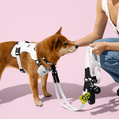 Arlo THE LICKER STORE, harnais à trois boucles pour habillage rapide et sûr.