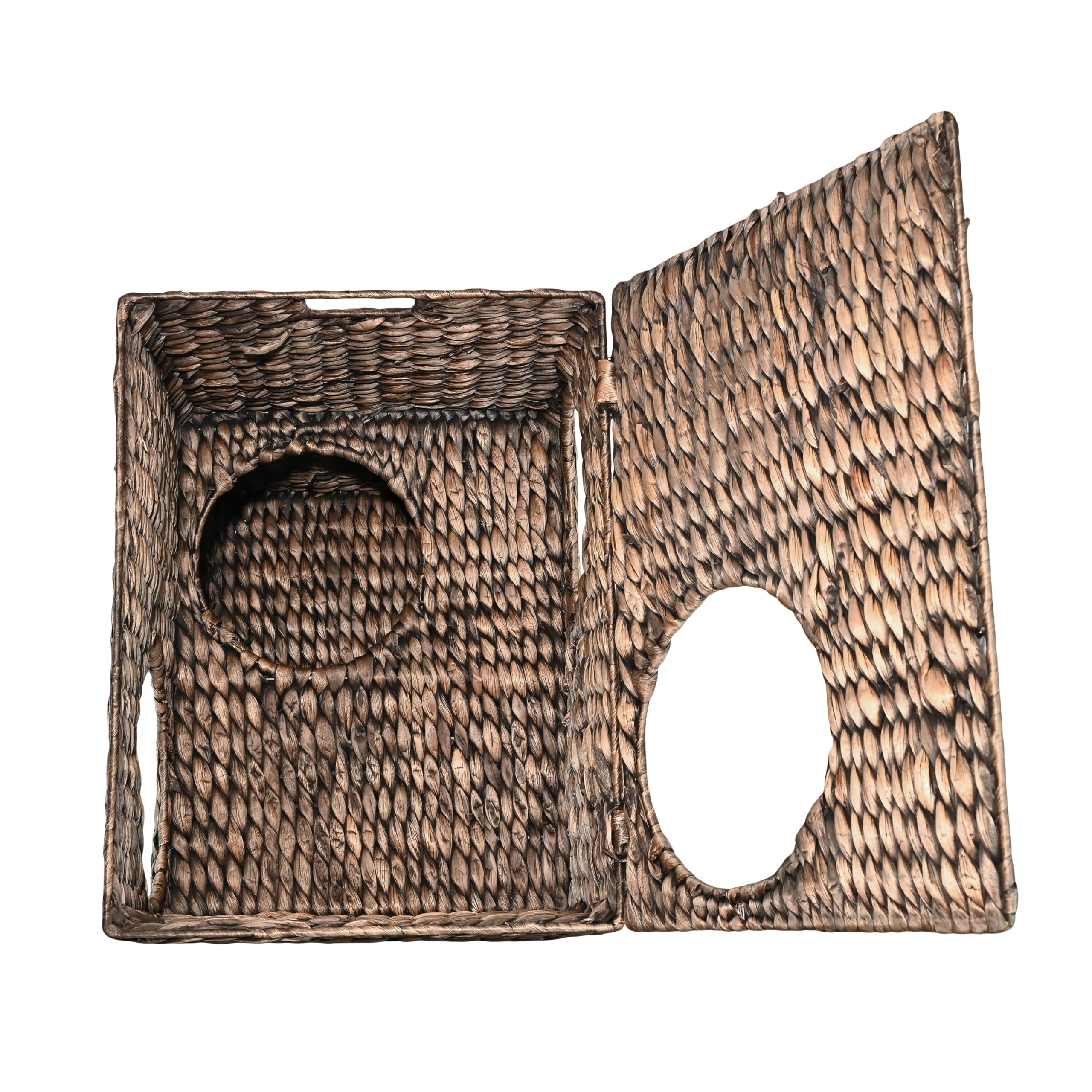 The LICKER STORE CHS1000B Jaxon – idéal pour petits espaces domestiques