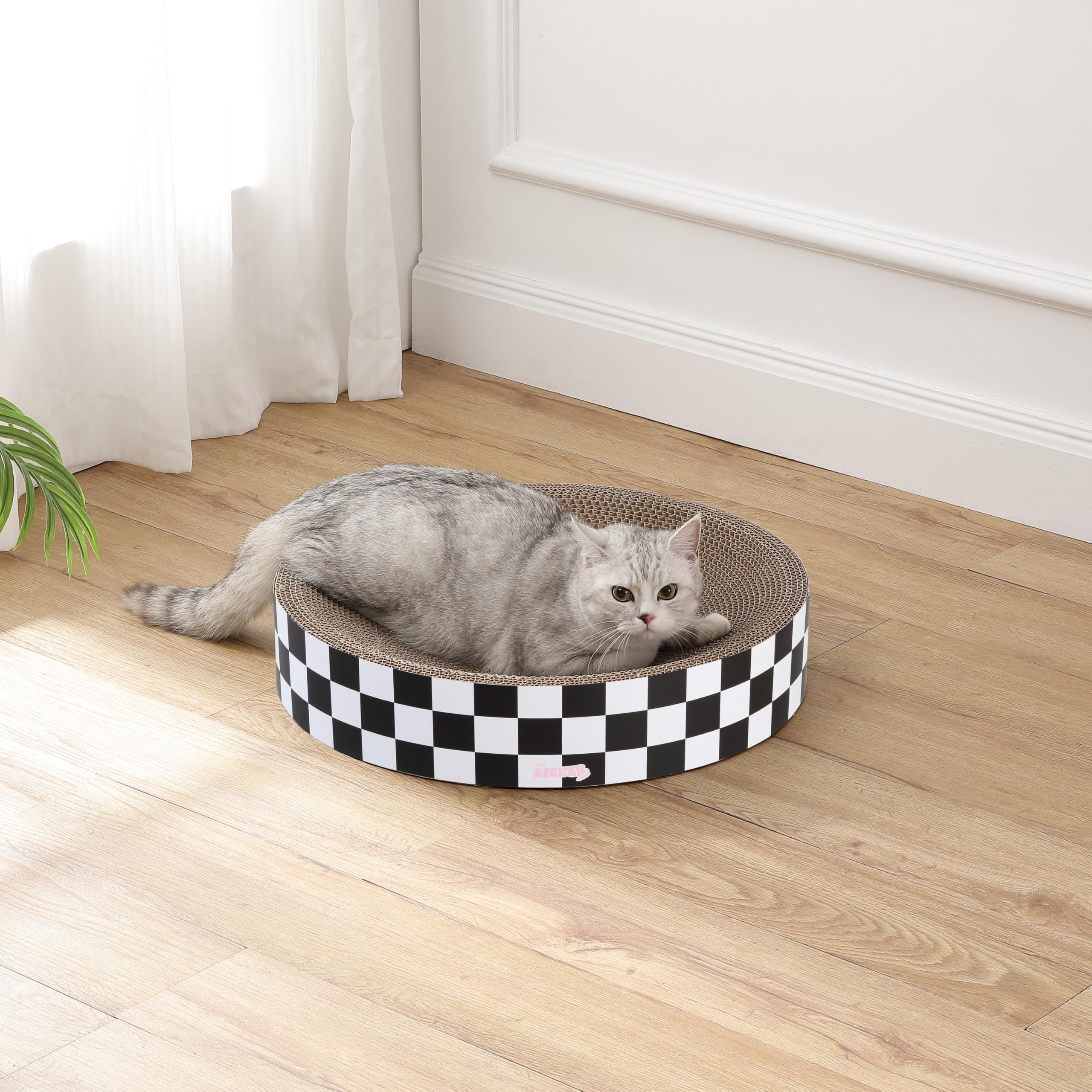 CSR1010F Nelson, bol chat avec herbe à chat, expérience ludique.
