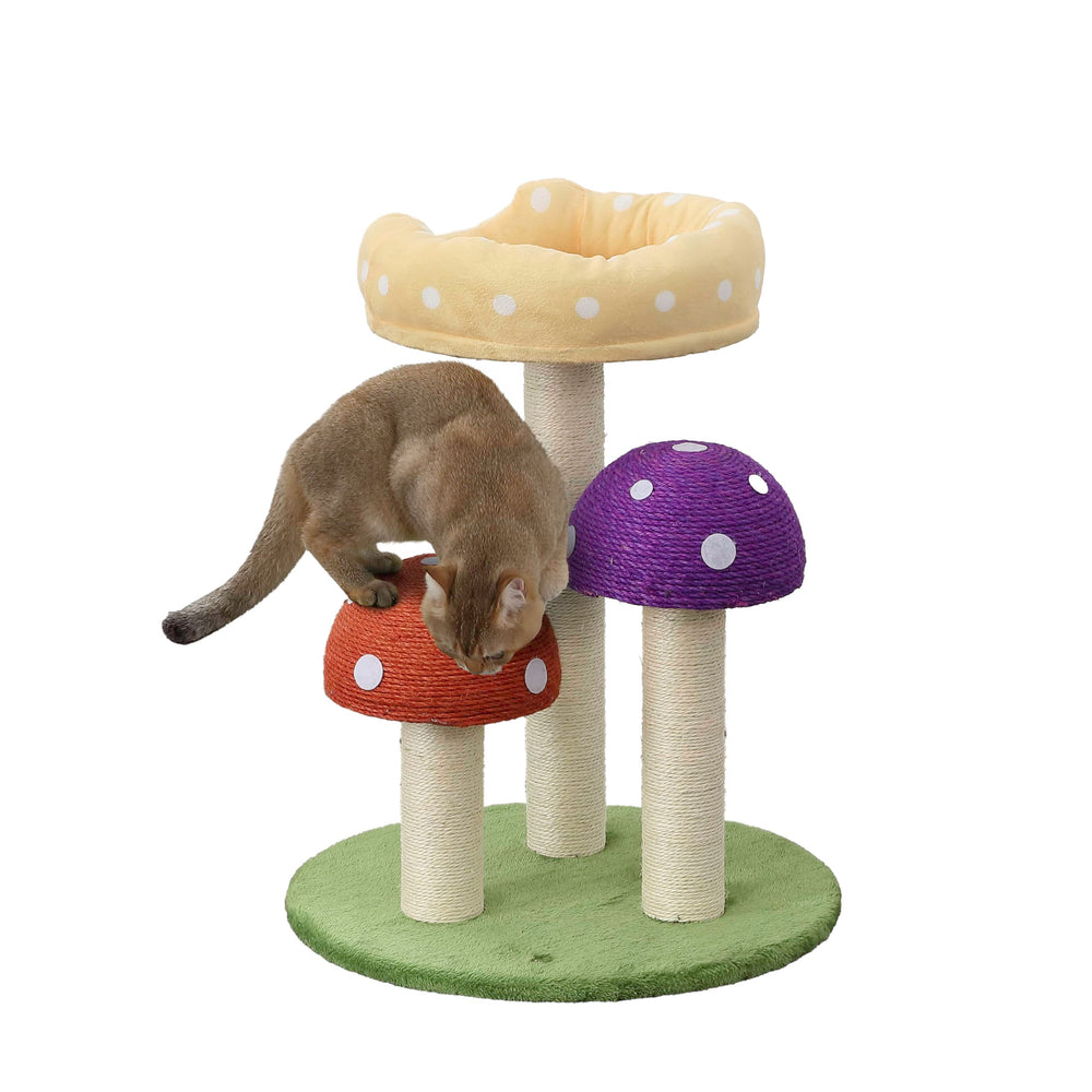 THE LICKER STORE CTR1001A Pixie: arbre-chat champignon 3 niveaux pour grimper et se détendre