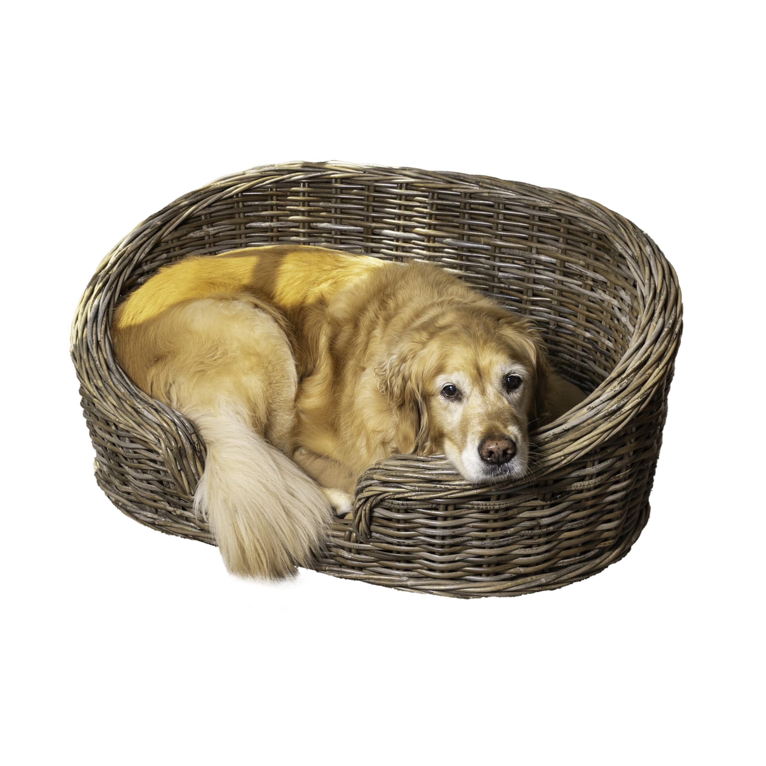 THE LICKER STORE lit chien osier courbe 33 pouces, confort et style durable.