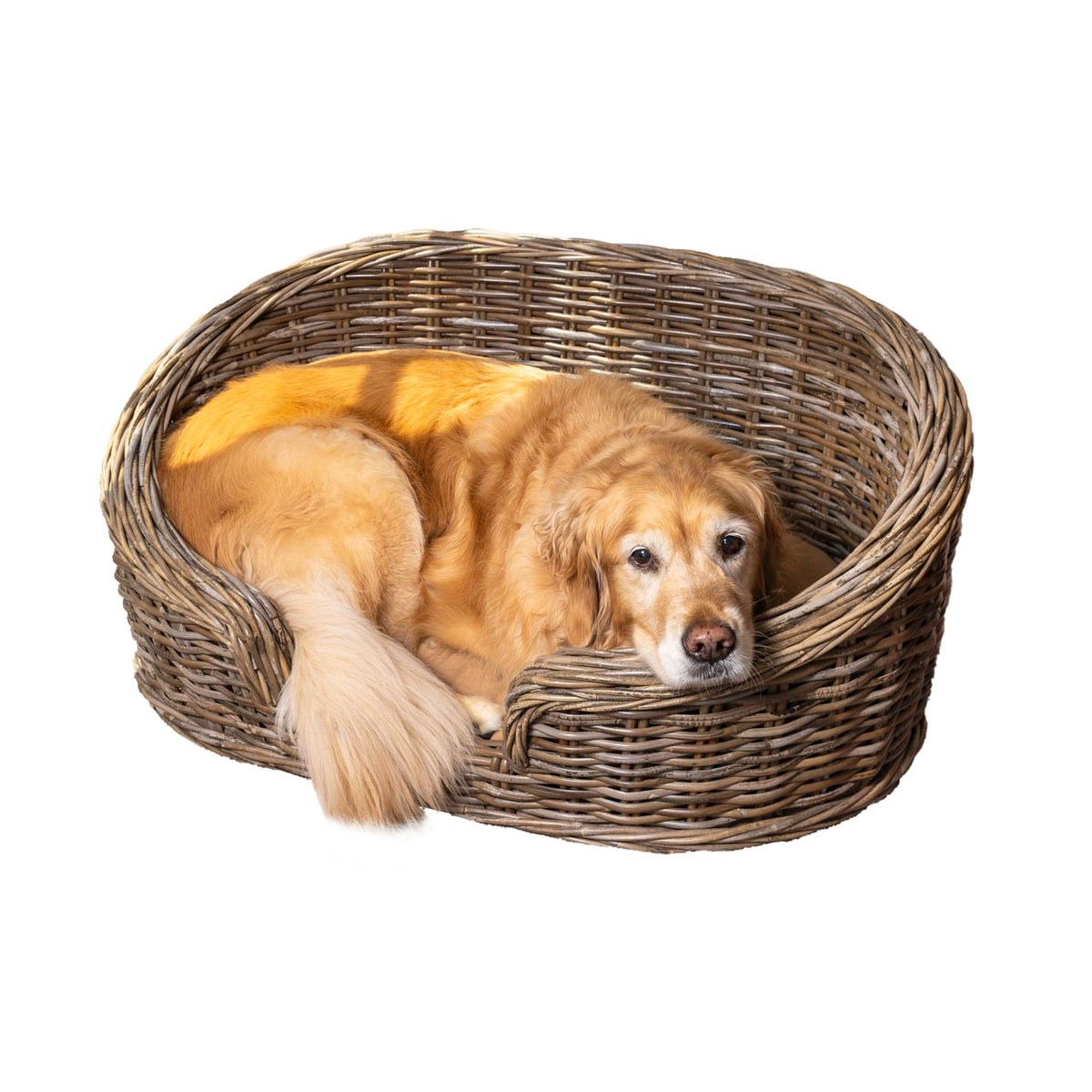 THE LICKER STORE lit chien osier courbe 33 pouces, confort et style durable.