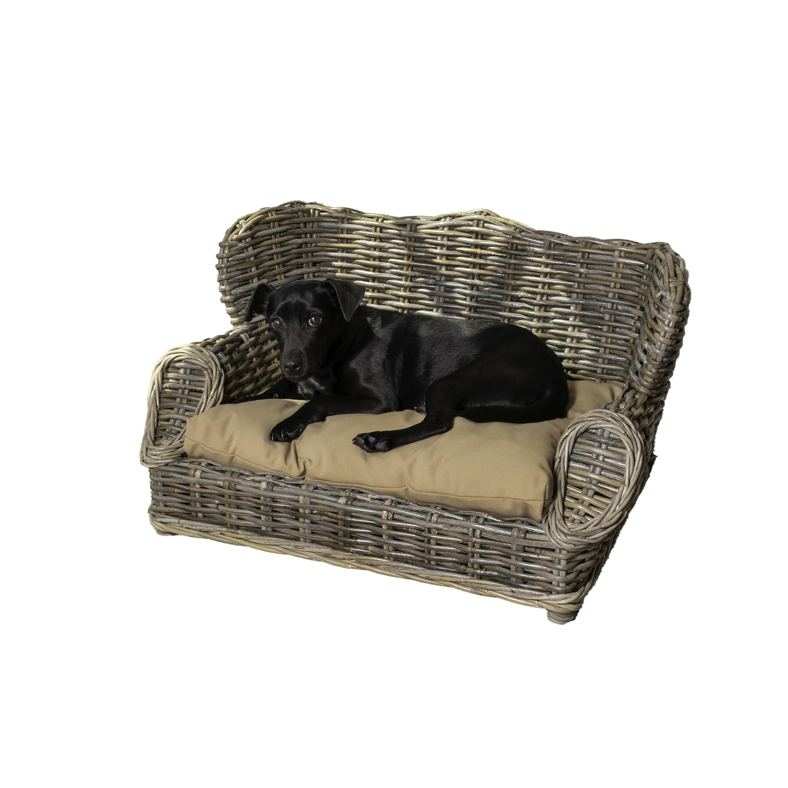 THE LICKER STORE DBD1004A: canapé-lit chien rotin pour repos élégant et sûr.