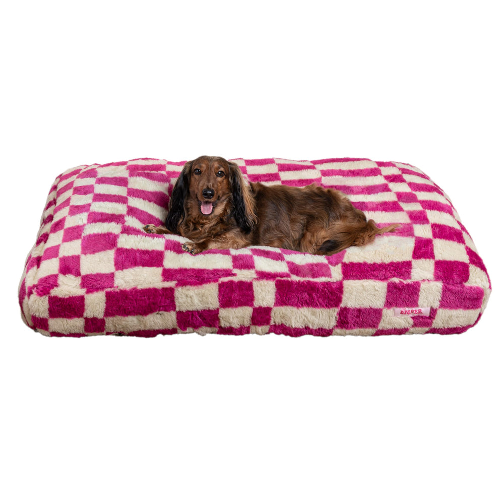 THE LICKER STORE Mabel motif raspberry check: design coloré pour chien et chat.